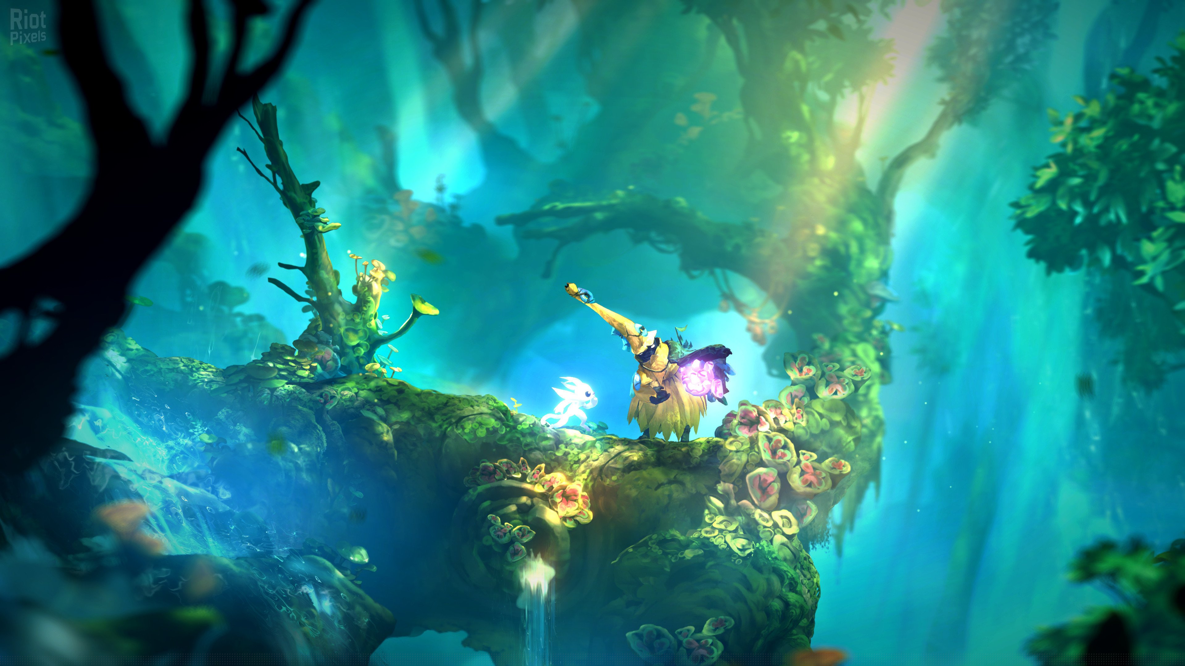 [16]-Ori and the Will of the Wisps Download-HohohoGames
