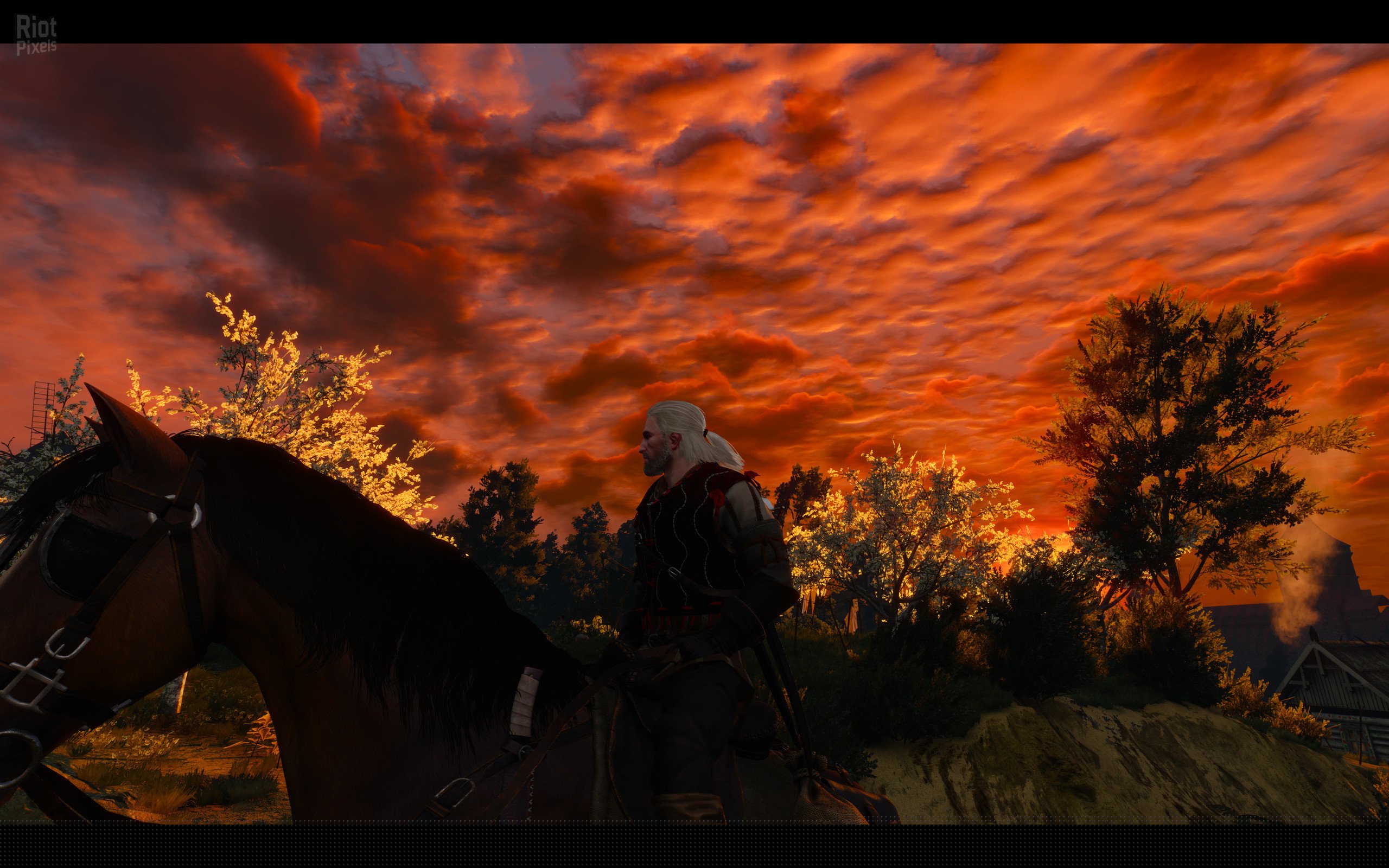 [4]-The Witcher 3: Wild Hunt – Game of the Year Edition v1.31/v1.32 + HD Mod Download-HohohoGames