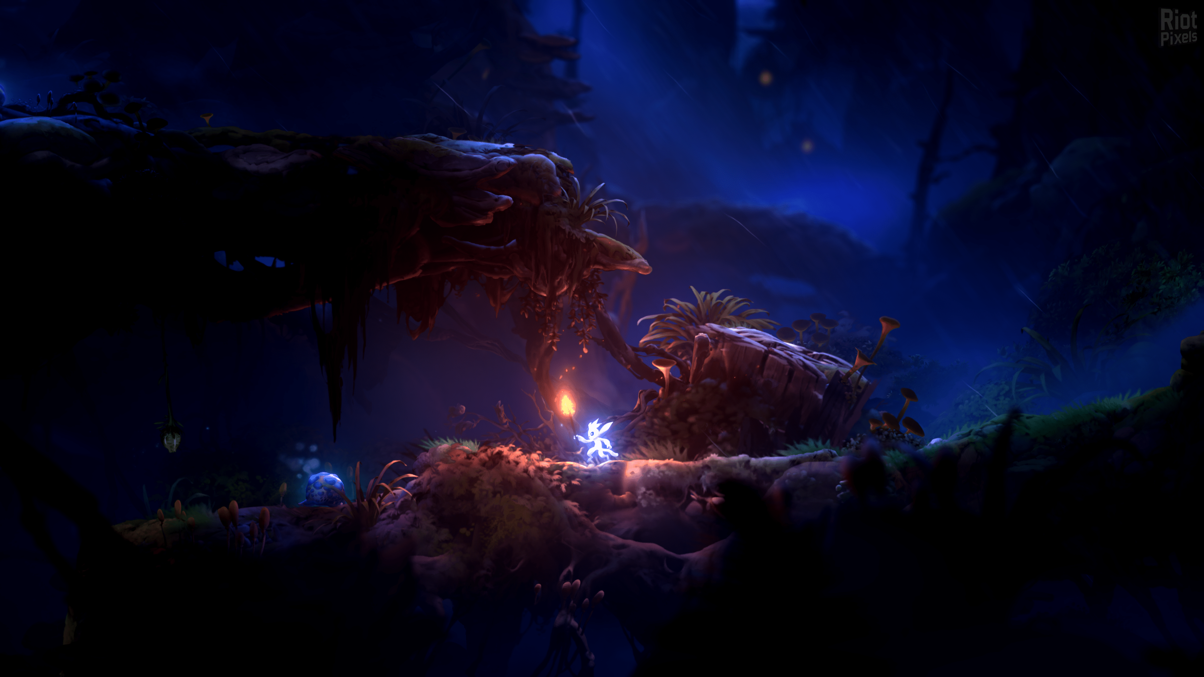 [3]-Ori and the Will of the Wisps Download-HohohoGames
