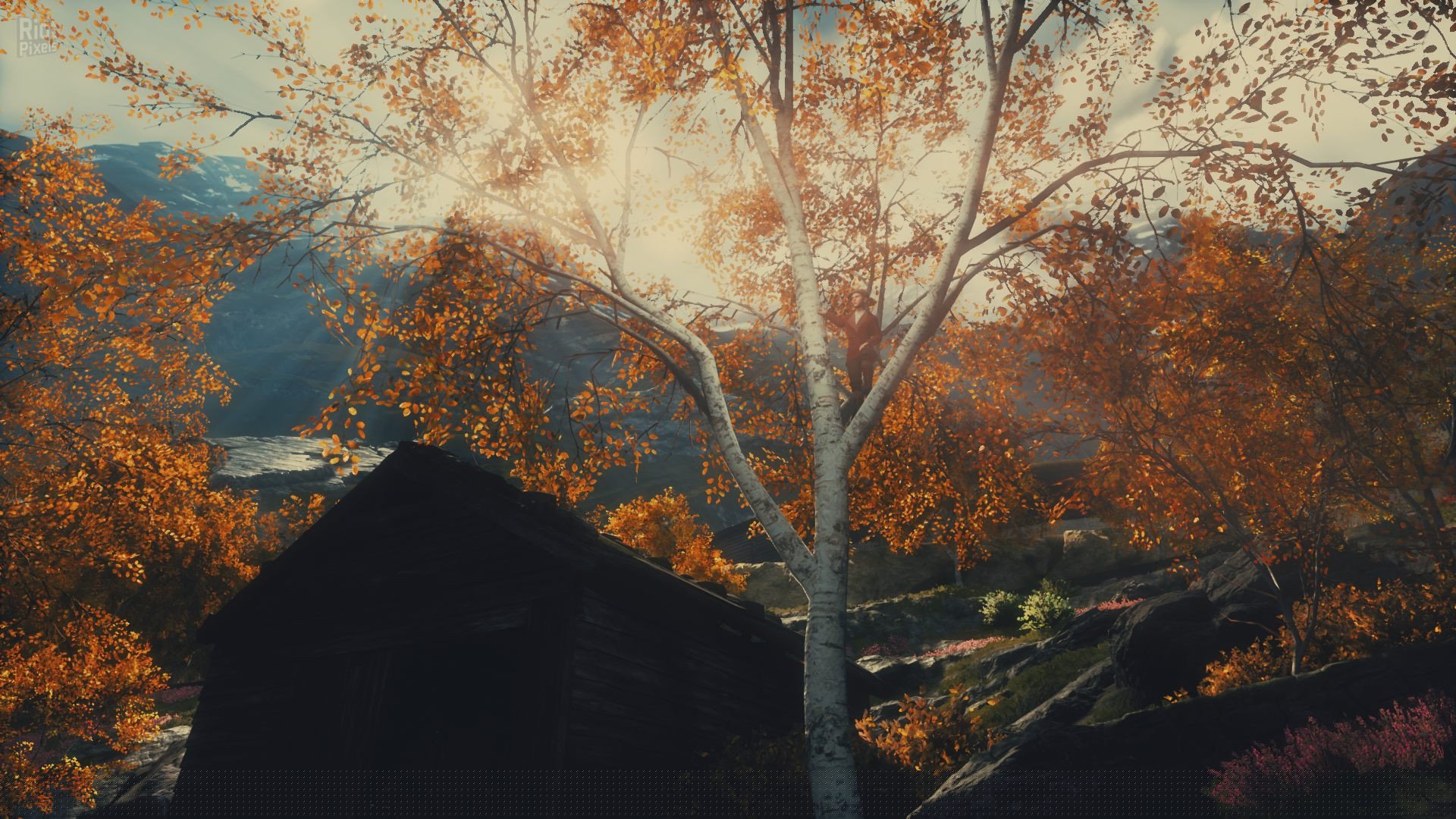 [4]-Draugen Download-HohohoGames