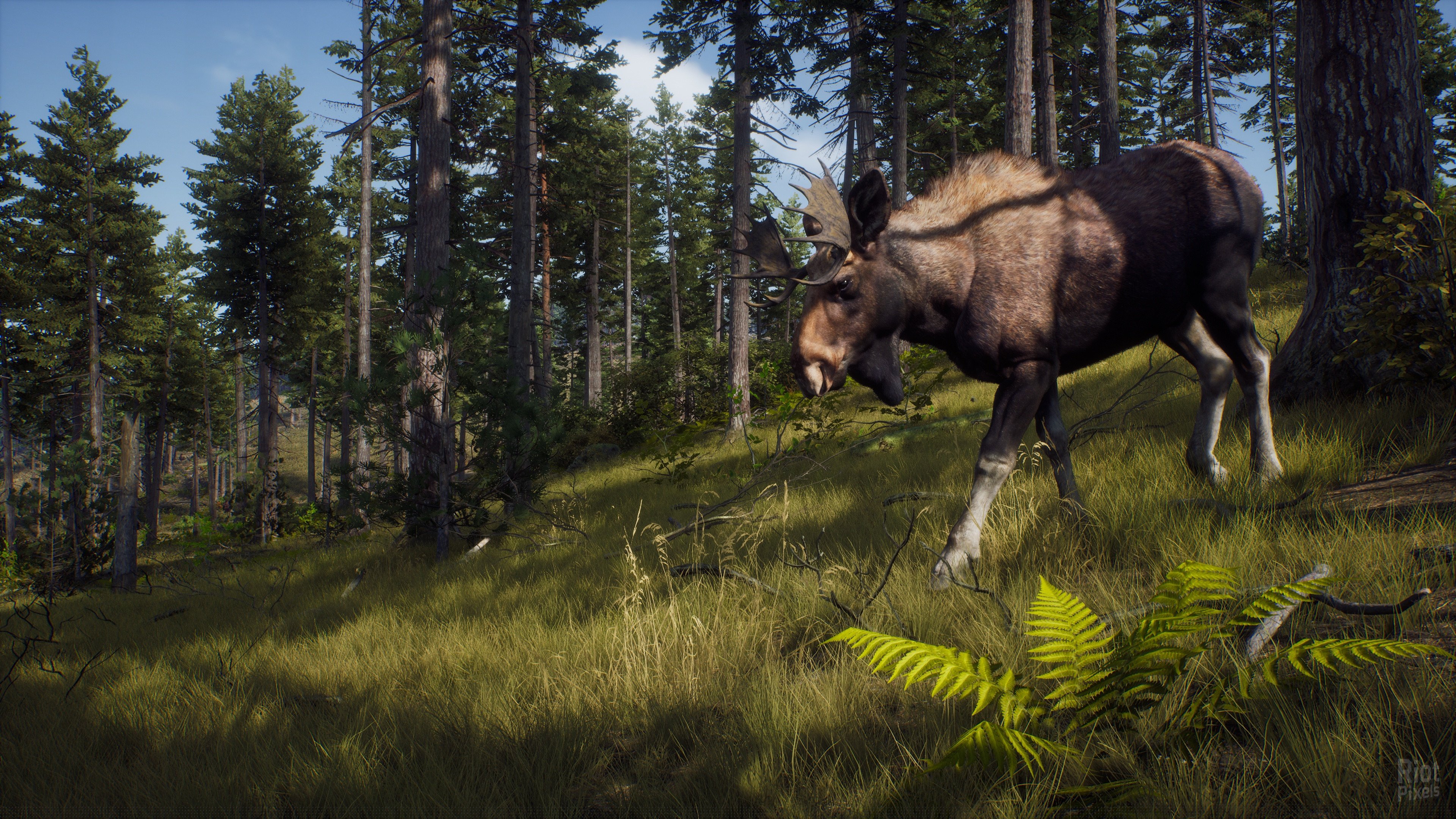 [5]-Way of the Hunter: Ultimate Edition – v1.6 + 10 DLCs + Windows 7 Fix Download-HohohoGames