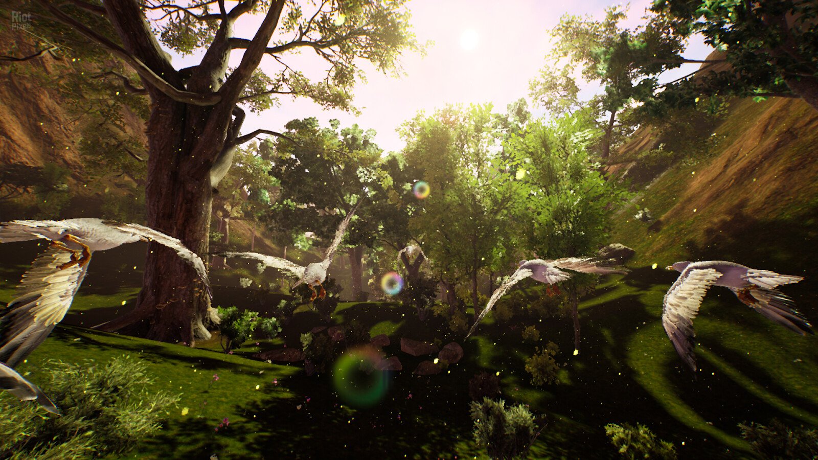 [9]-Flyto Download-HohohoGames