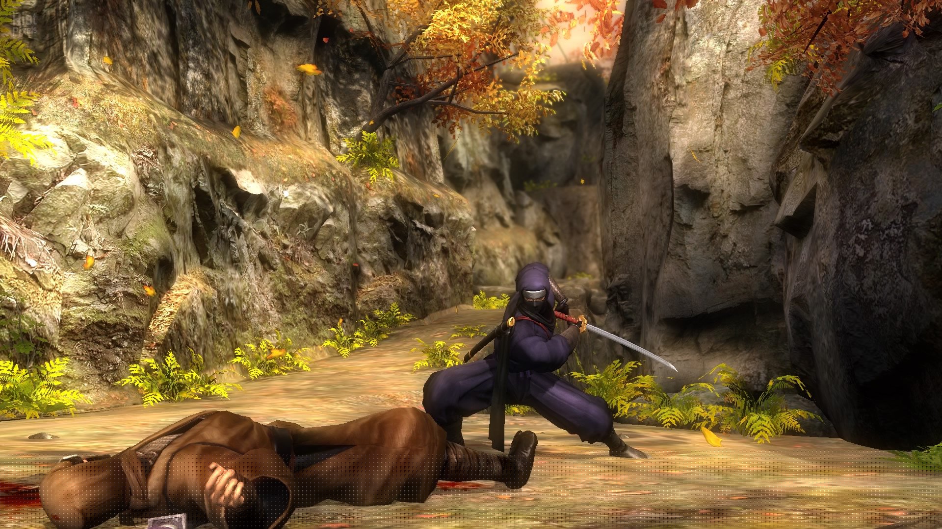 [14]-NINJA GAIDEN: Master Collection – Deluxe Edition – 3 Games + Bonus Content Download-HohohoGames