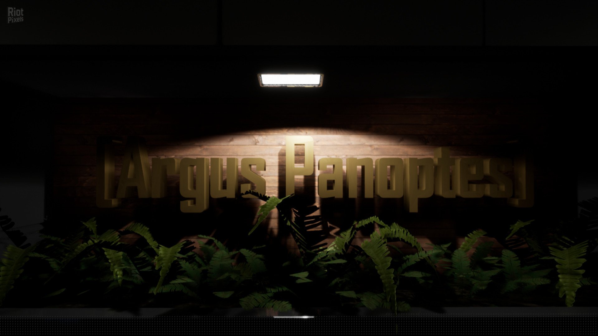 [3]-Thalamus Download-HohohoGames