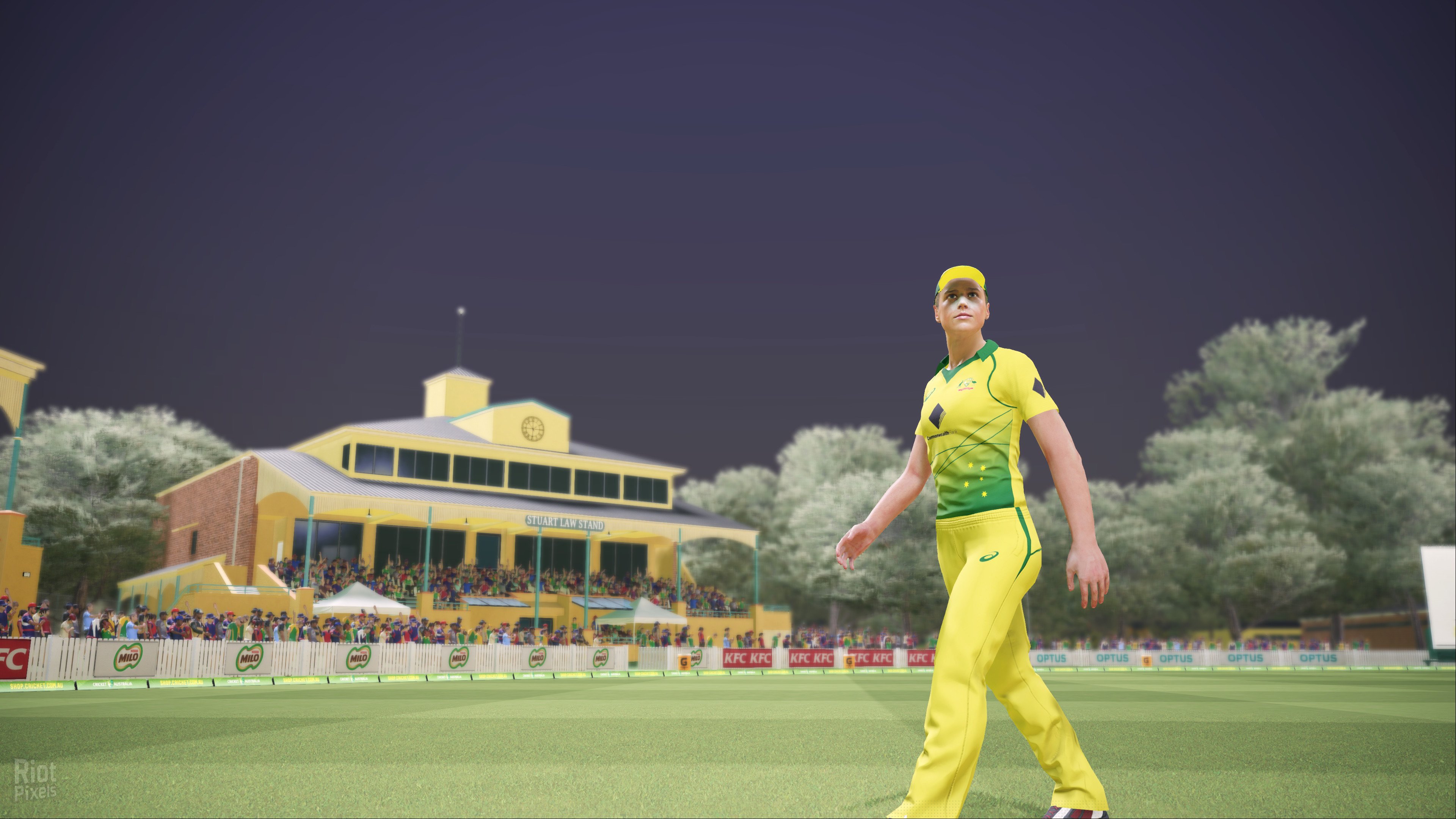 [6]-Ashes Cricket – v1.0548 Download-HohohoGames