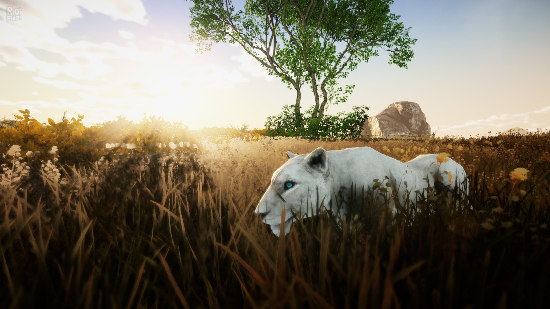 [16]-Animallica Download-HohohoGames