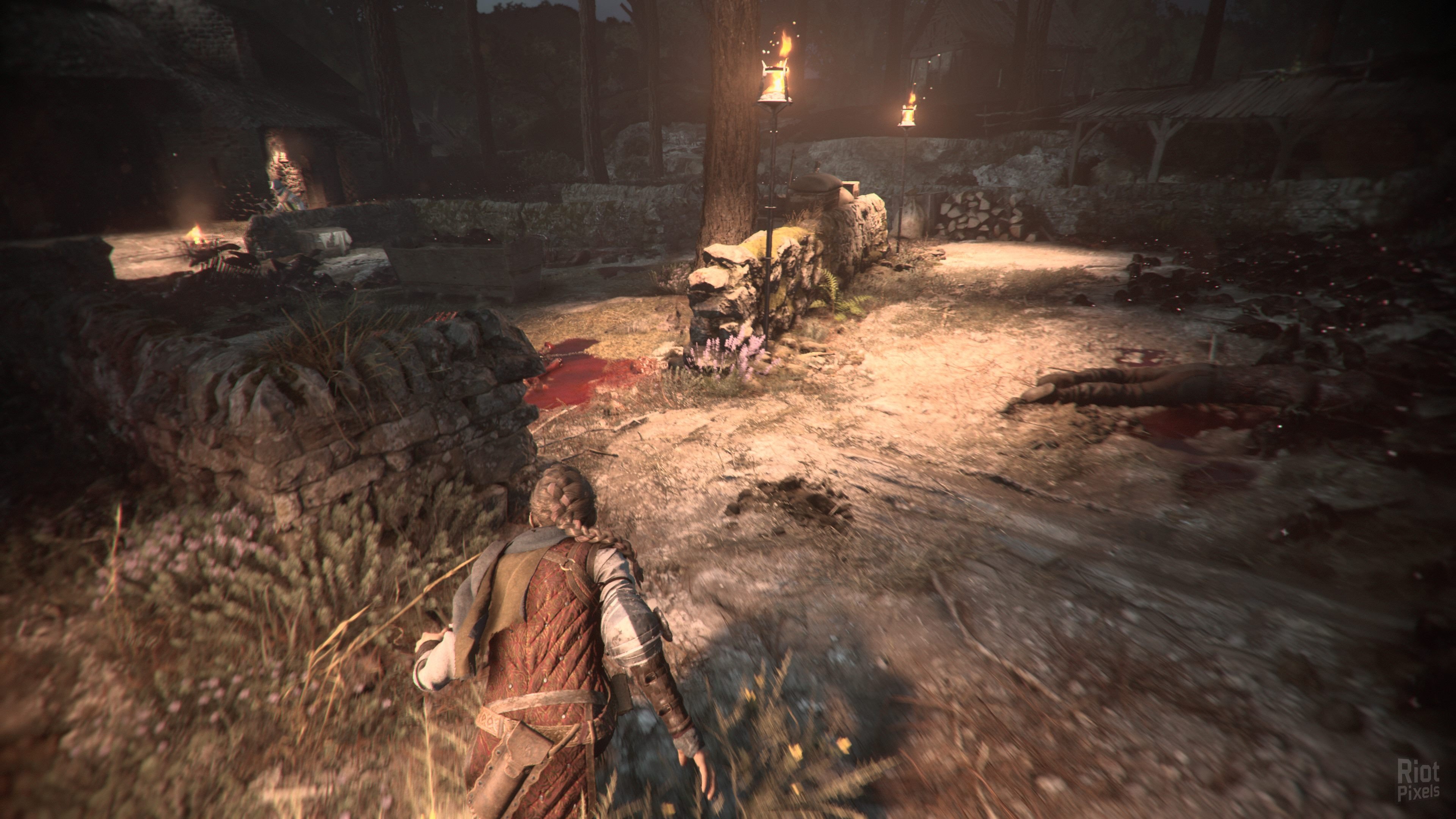 [2]-A Plague Tale: Requiem – v1.0.0.0 Steam/GOG + Protector Pack DLC Download-HohohoGames