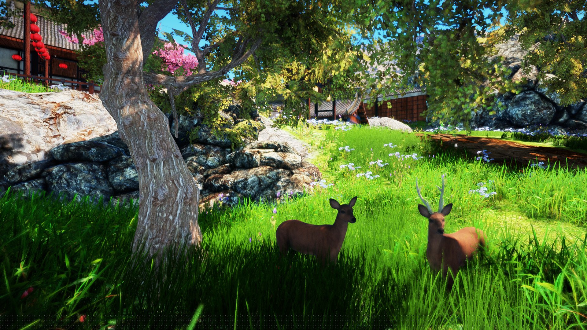 [15]-Animallica Download-HohohoGames