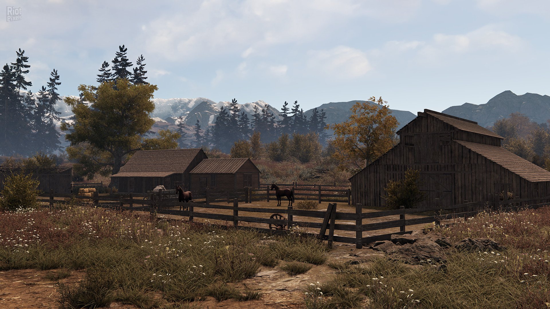 [5]-This Land Is My Land: Founders Edition – v1.0.3.18972 + 2 DLCs Download-HohohoGames