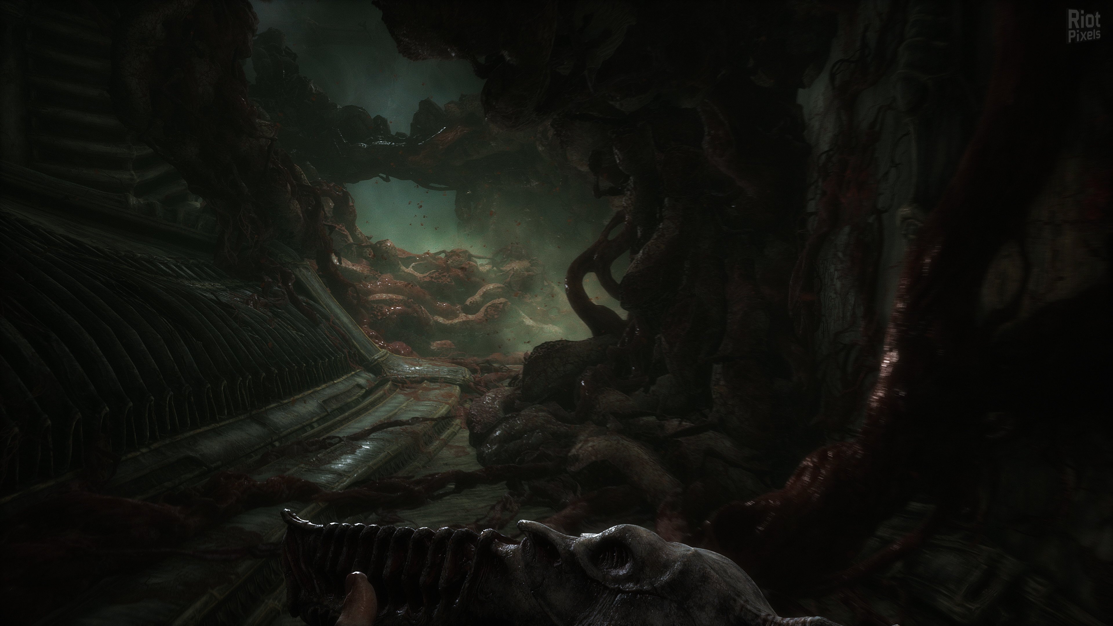 [7]-Scorn: Deluxe Edition, v1.2.2.0 + Bonus Content + Windows 7 Fix Download-HohohoGames