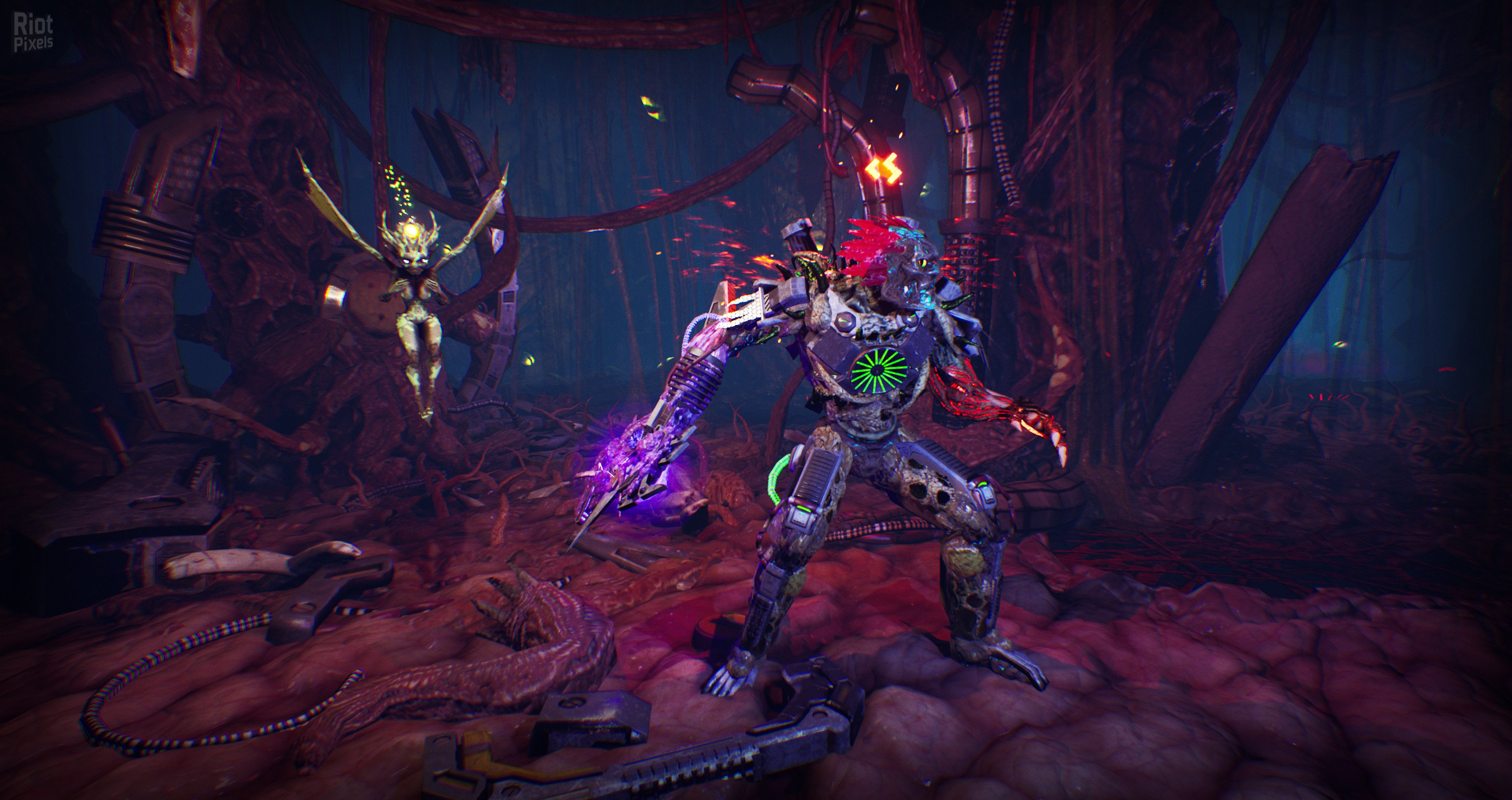 [12]-Arboria – v1.0.0.1055 Download-HohohoGames