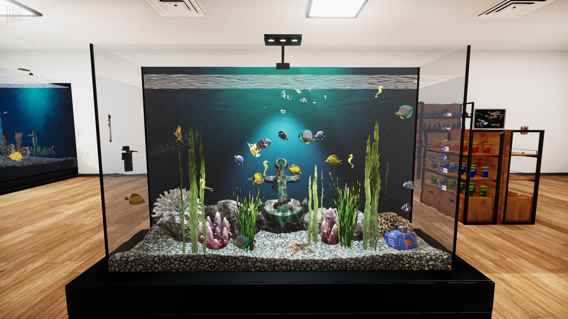 [5]-Aquatic Store Simulator Download-HohohoGames