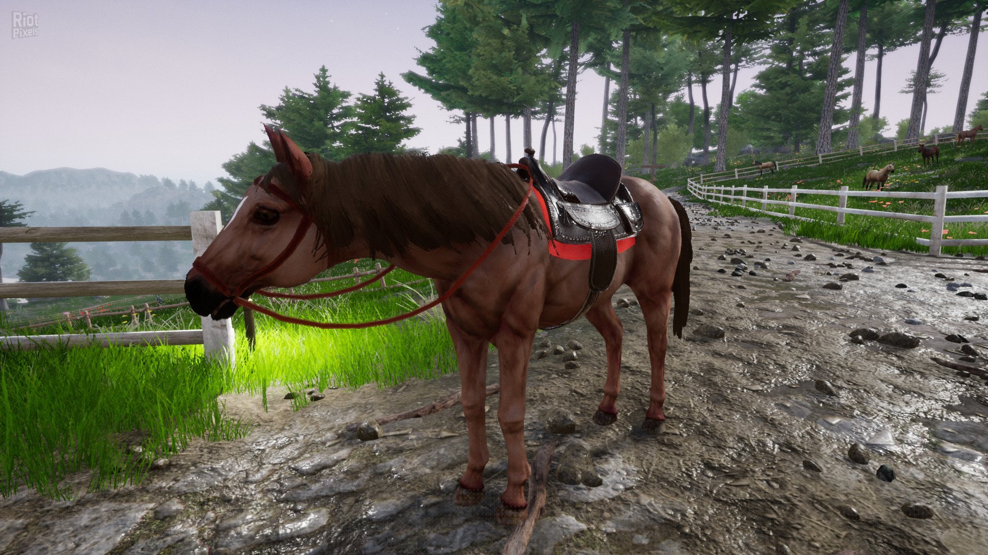 [13]-Horse Riding Deluxe 2 Download-HohohoGames