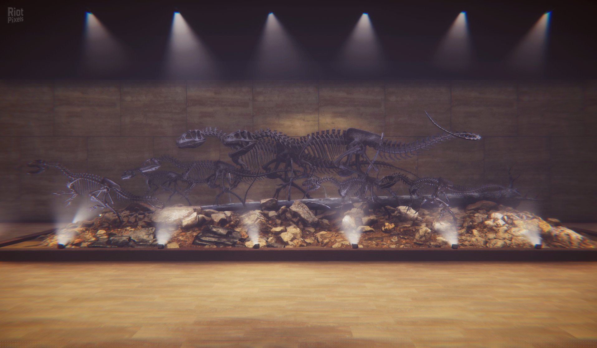 [8]-Dinosaur Fossil Hunter – v2.0.21 Download-HohohoGames