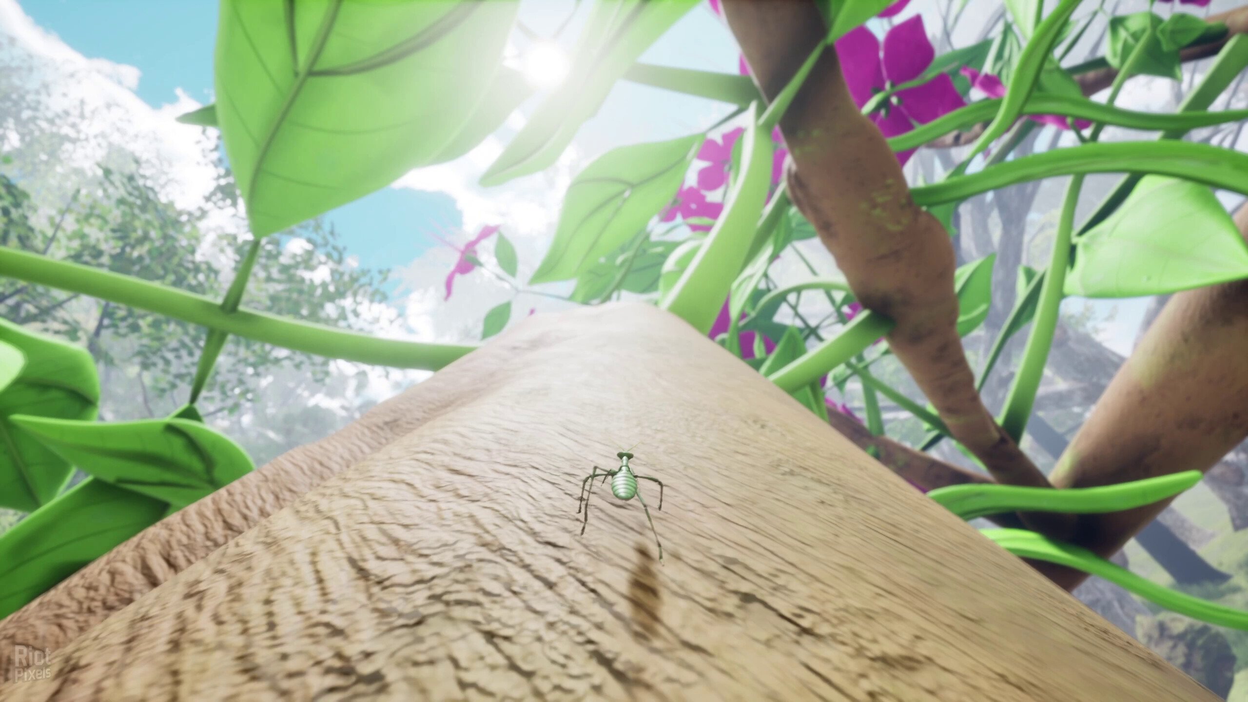 [5]-Nature & Life: Drunk On Nectar + Bonus Soundtrack Download-HohohoGames