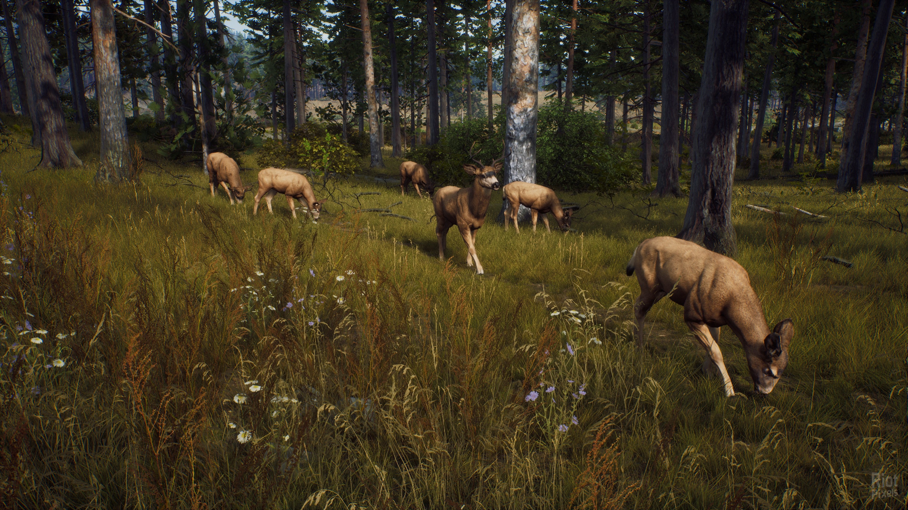 [3]-Way of the Hunter: Ultimate Edition – v1.6 + 10 DLCs + Windows 7 Fix Download-HohohoGames