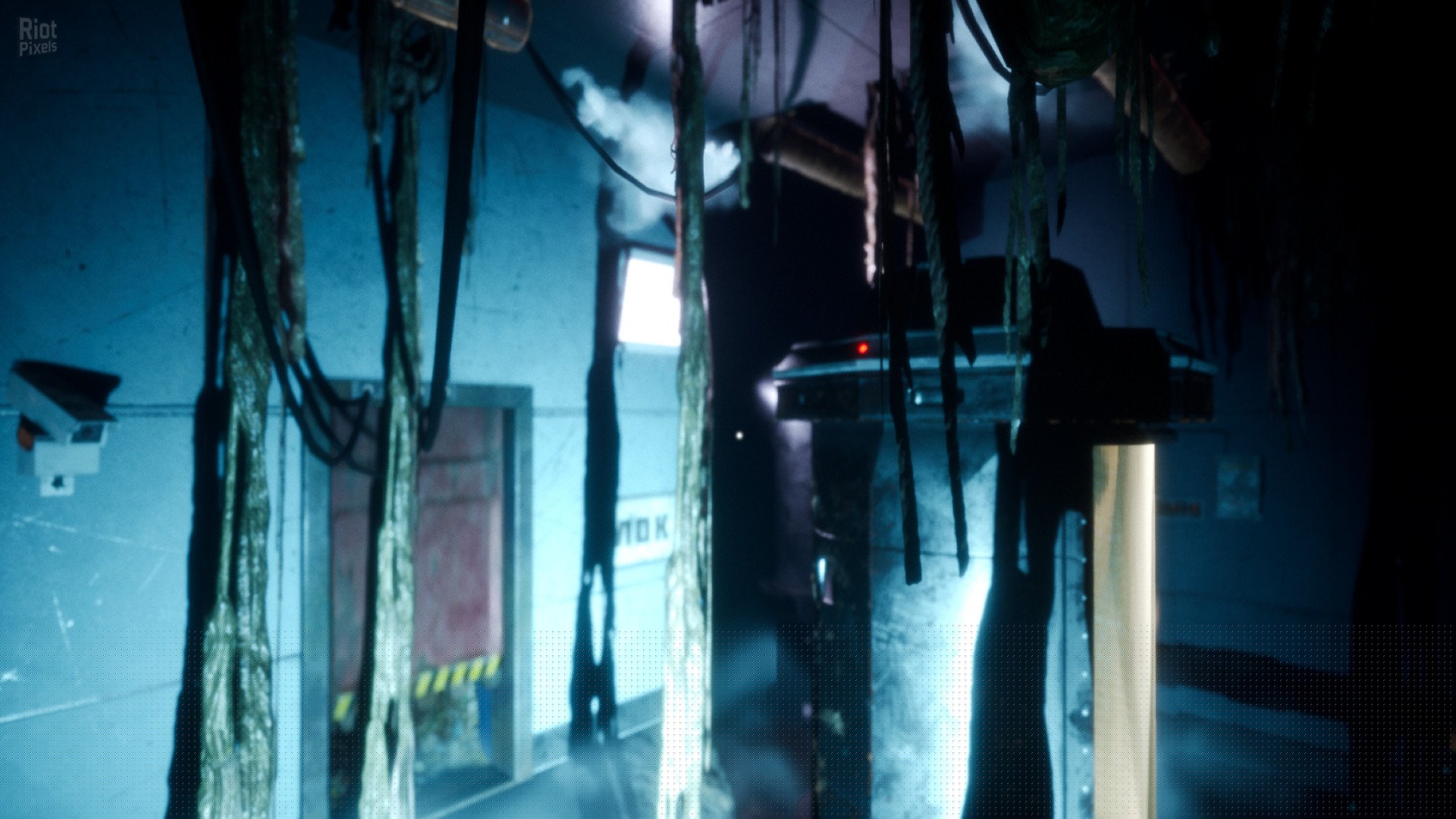 [9]-Nebraska Download-HohohoGames