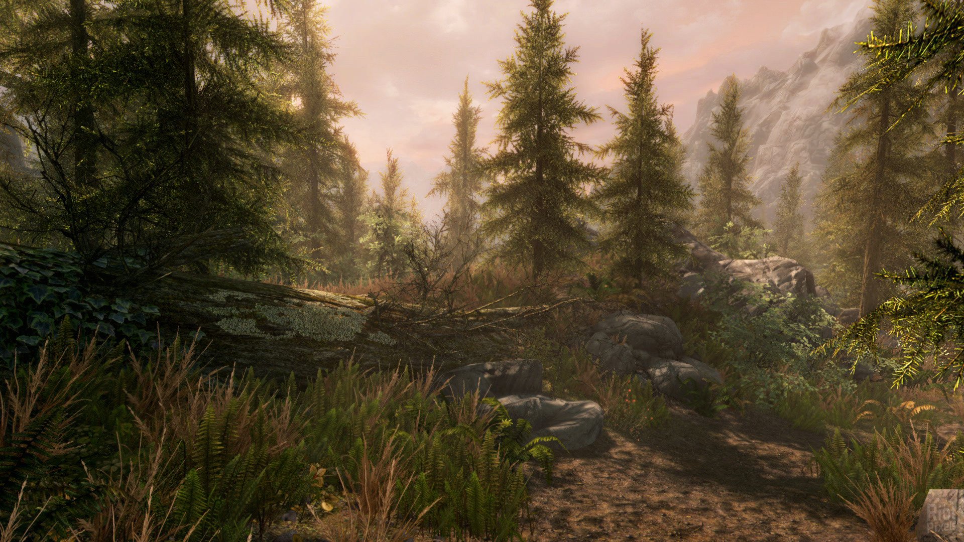[14]-The Elder Scrolls: Skyrim – Special Edition – v1.5.97.0 + Creation Club Content Download-HohohoGames