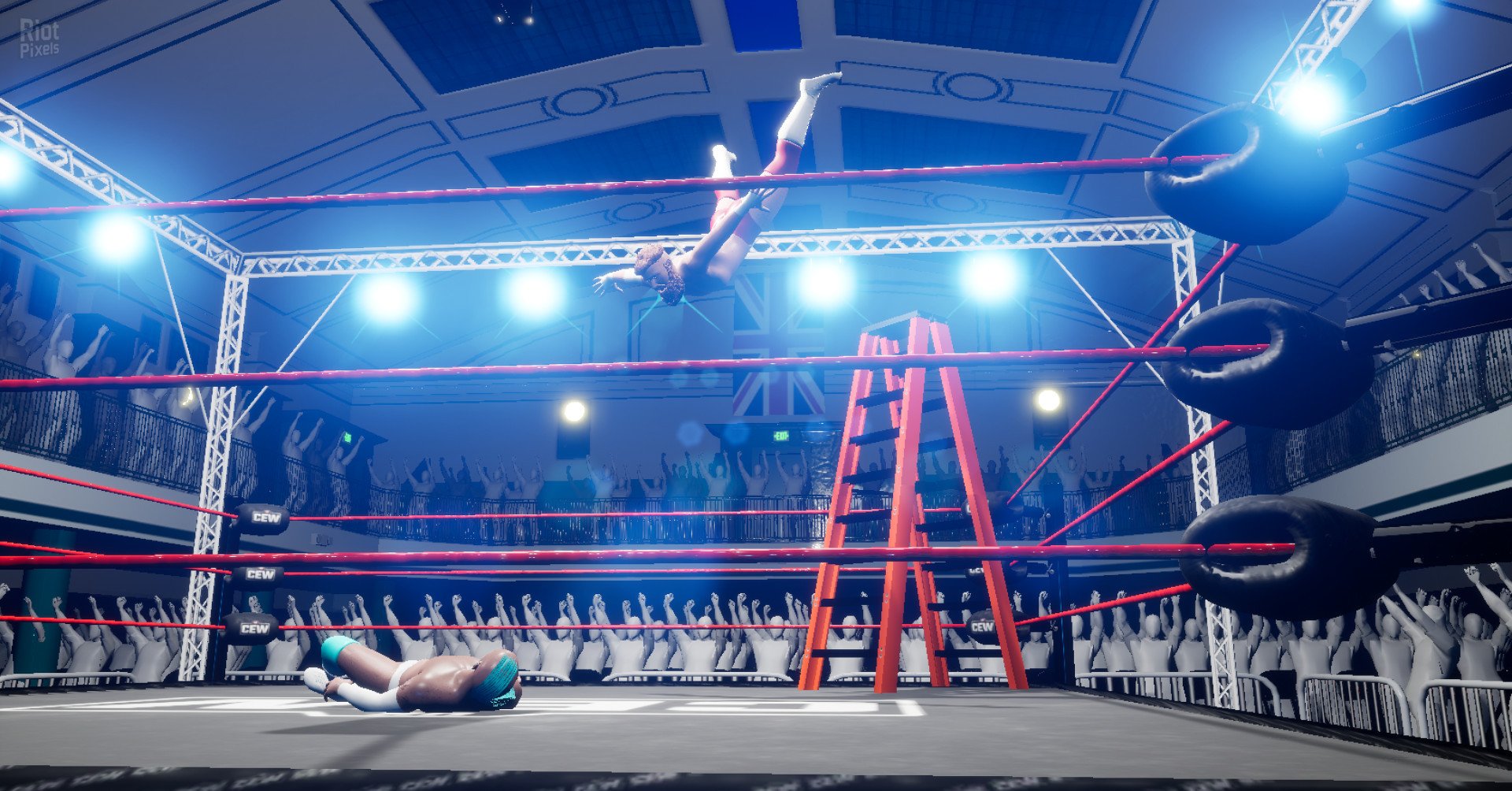 [7]-Mark Out! The Wrestling Card Game – v1.0.0 (Release) Download-HohohoGames