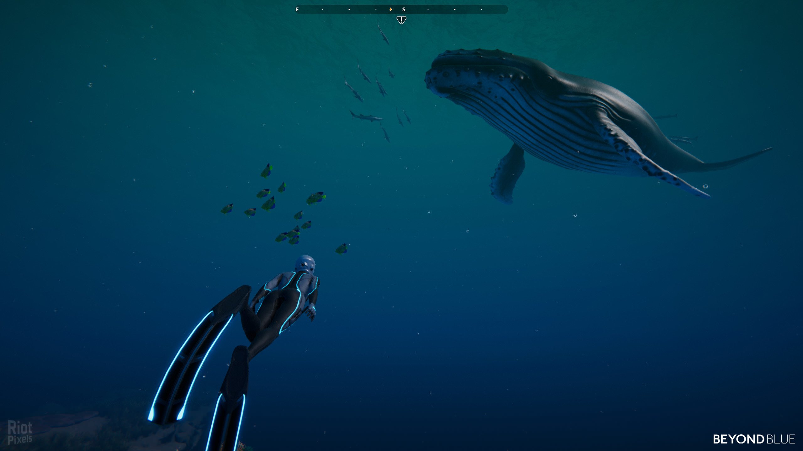 [4]-Beyond Blue – v1.7.17798 Download-HohohoGames
