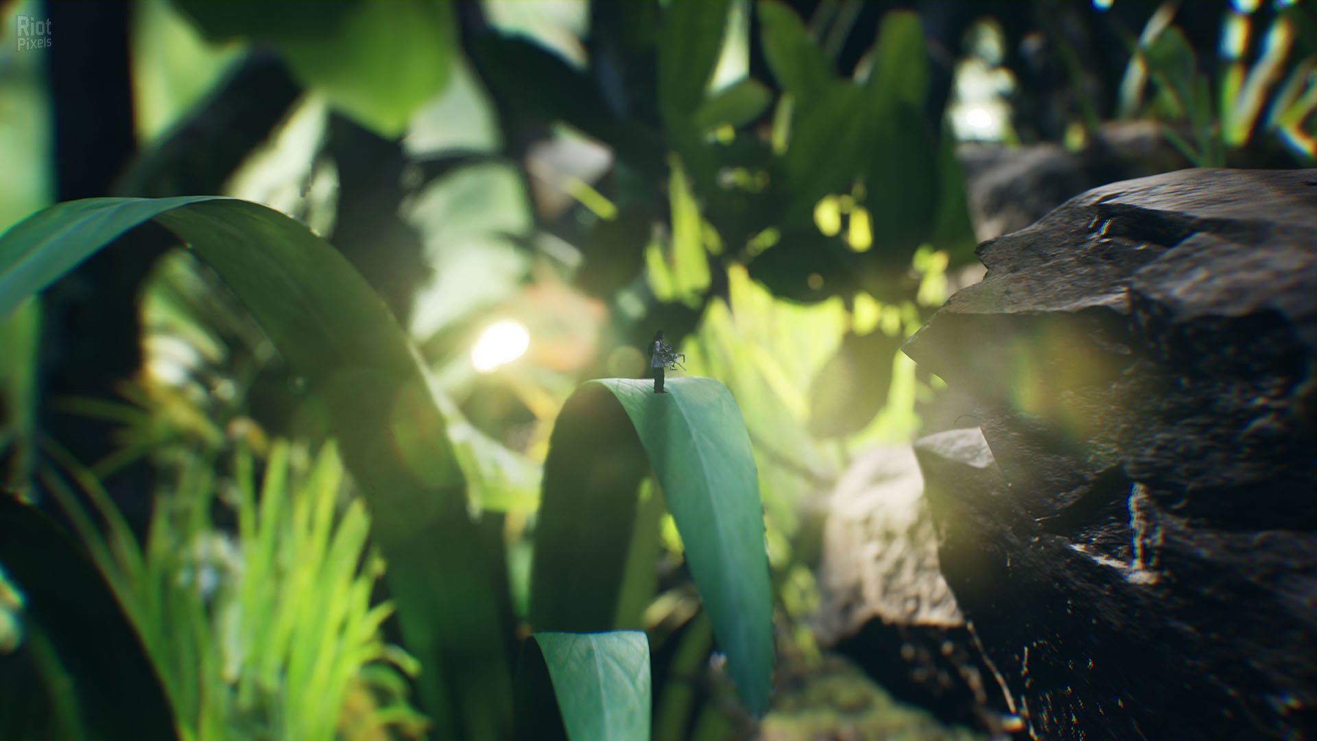 [7]-Big Earth Download-HohohoGames