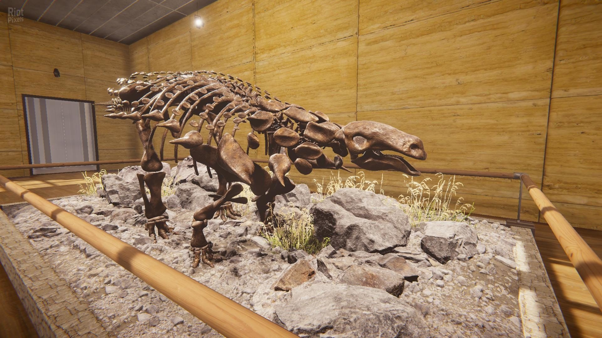 [9]-Dinosaur Fossil Hunter – v2.0.21 Download-HohohoGames