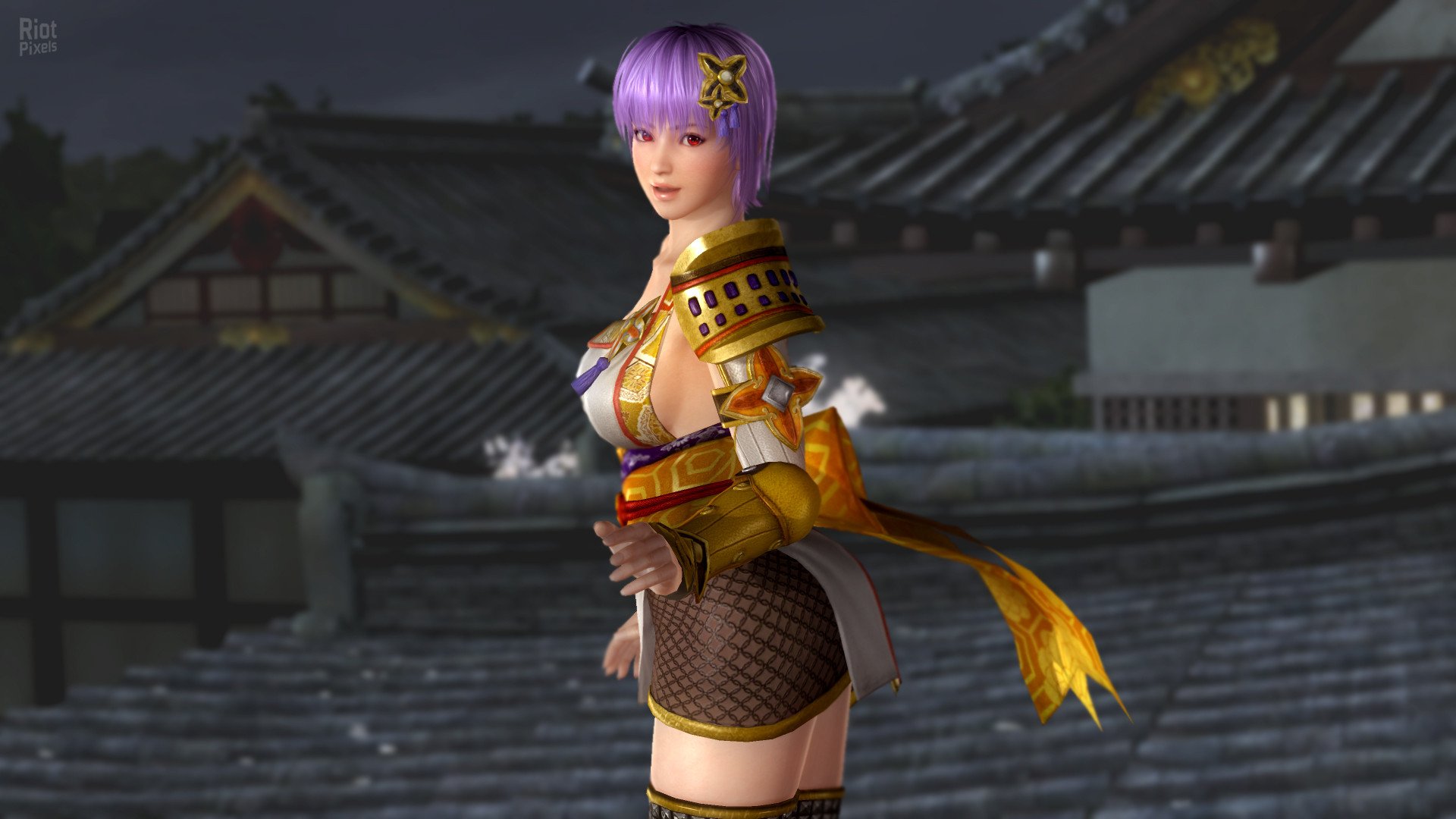 [5]-Dead or Alive 5: Last Round – v1.10C + All DLCs + Unlocker Download-HohohoGames