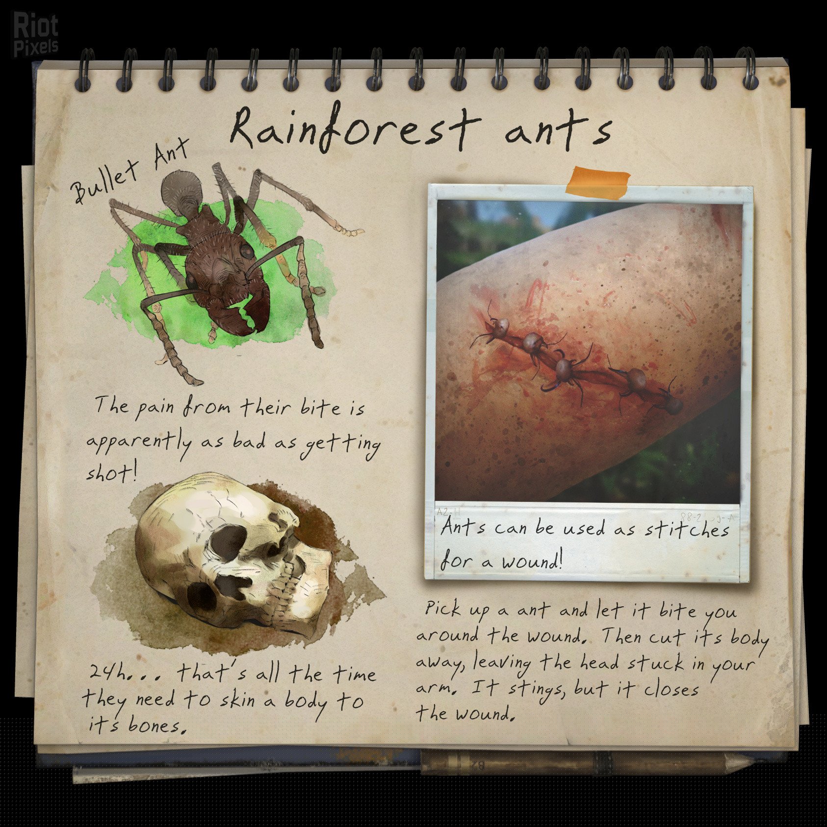 [26]-Green Hell – v2.2.0 build 31580 / v2.2.1 build 31671 Download-HohohoGames