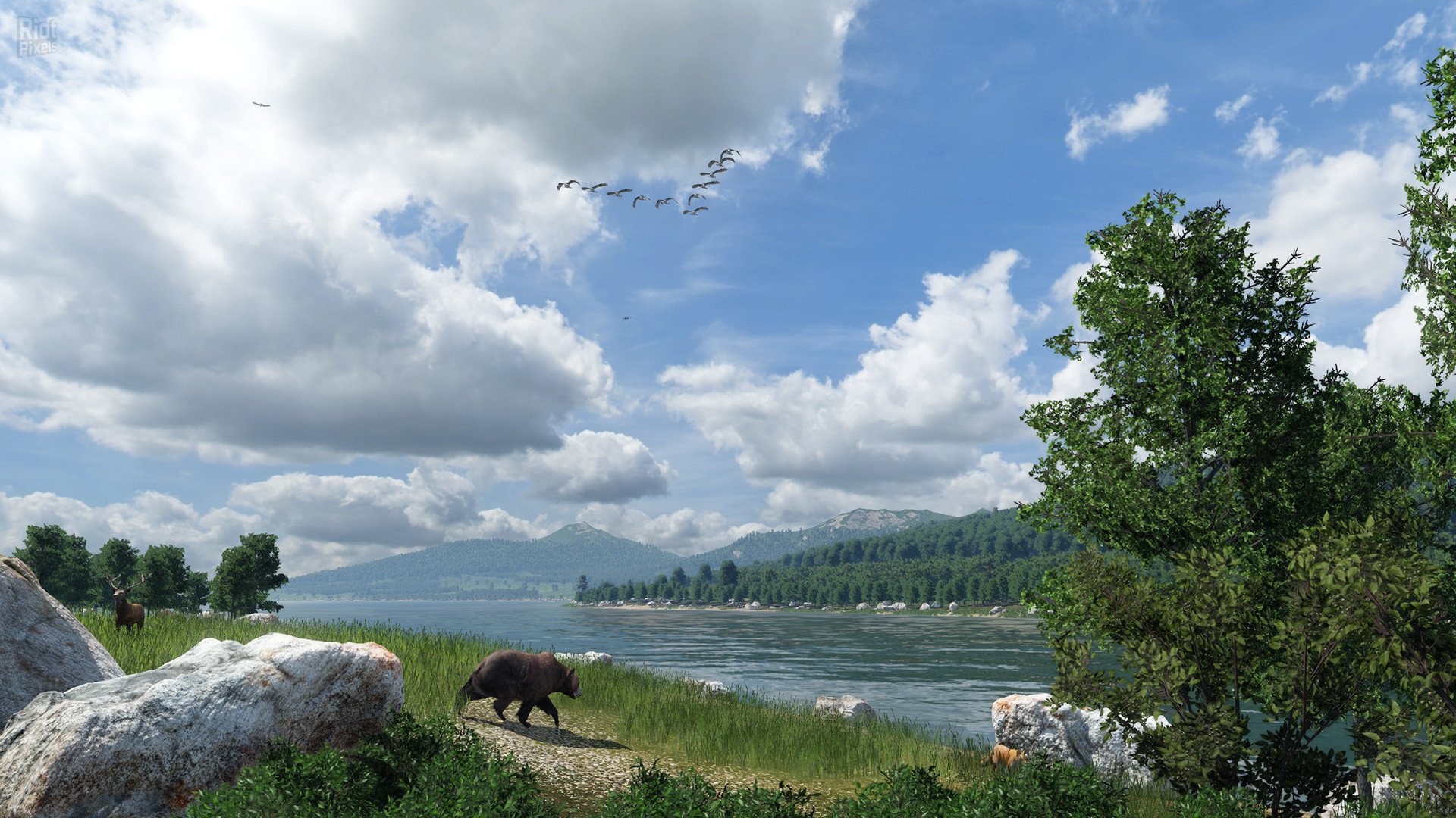 [13]-Transport Fever 2: Deluxe Edition – Build 35732 + 2 DLCs Download-HohohoGames