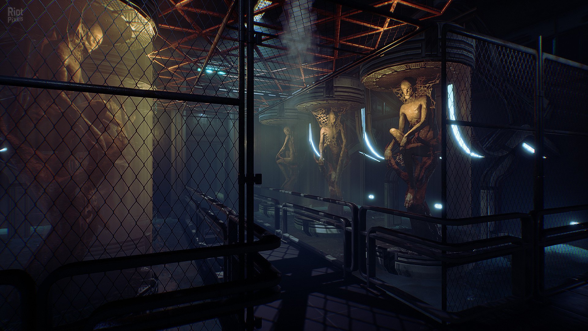 [11]-Transient: Extended Edition – v0.170 Download-HohohoGames