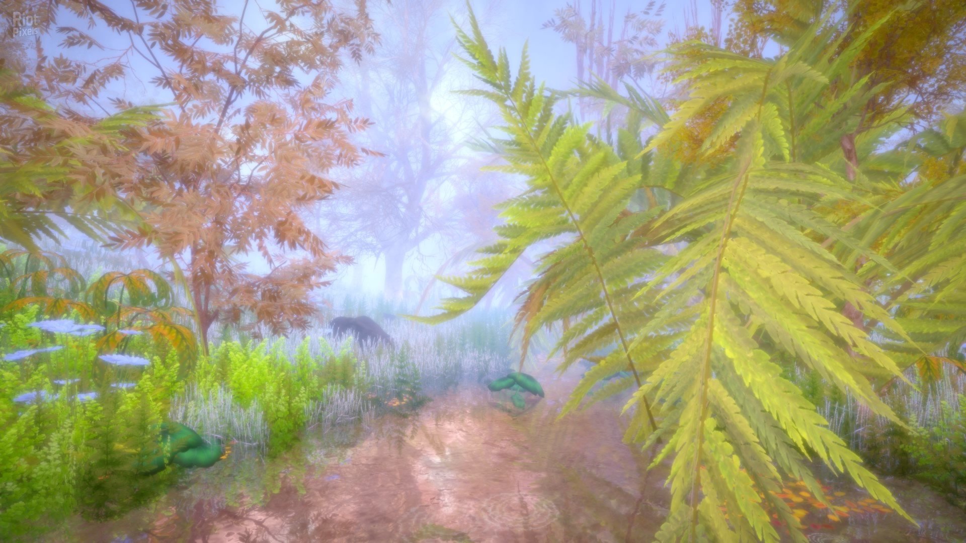 [8]-Hidden Treasures in the Forest of Dreams Download-HohohoGames
