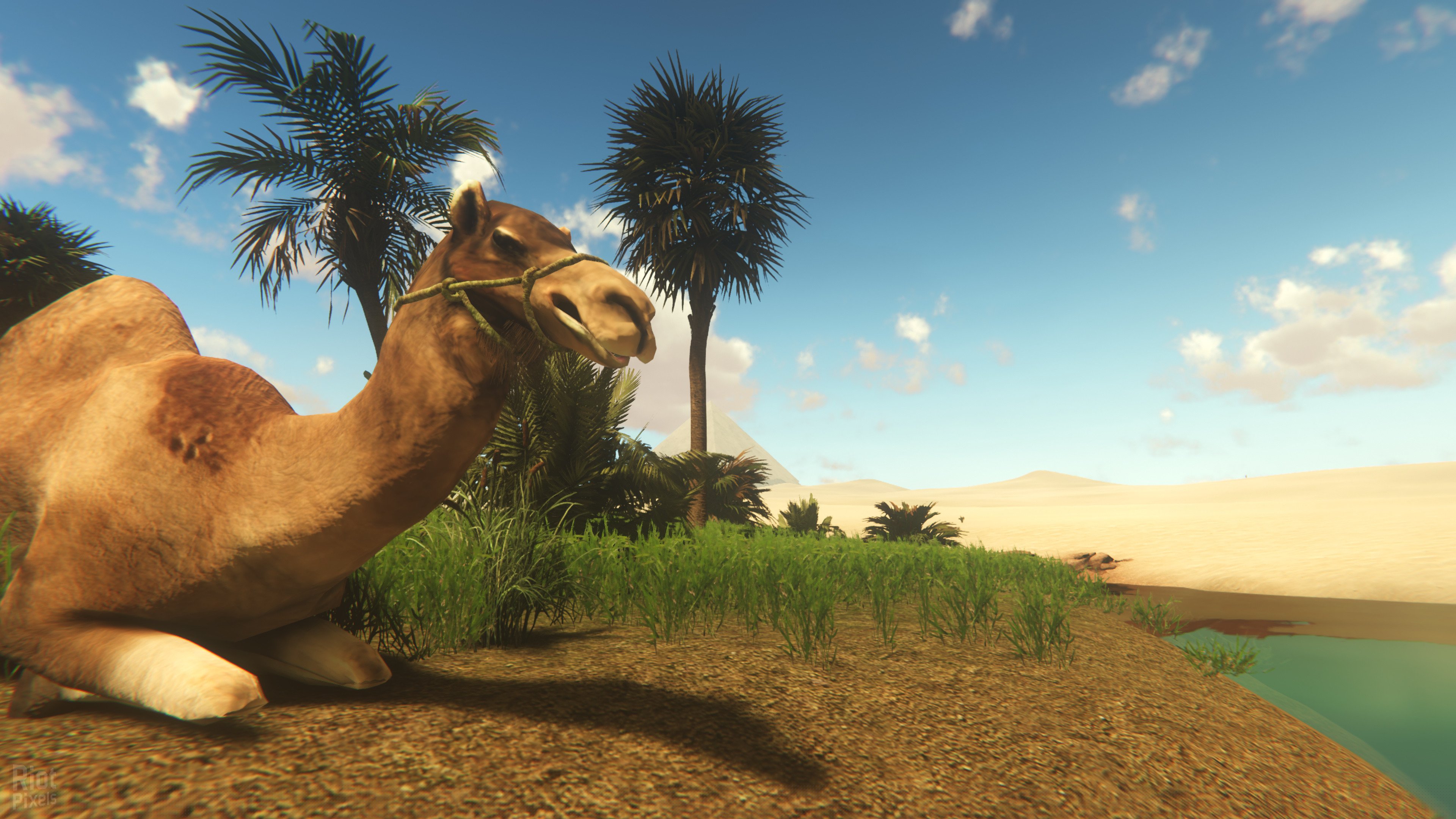 [12]-Starsand: Digital Supporter Edition – v1.0.9 + Bonus Content Download-HohohoGames