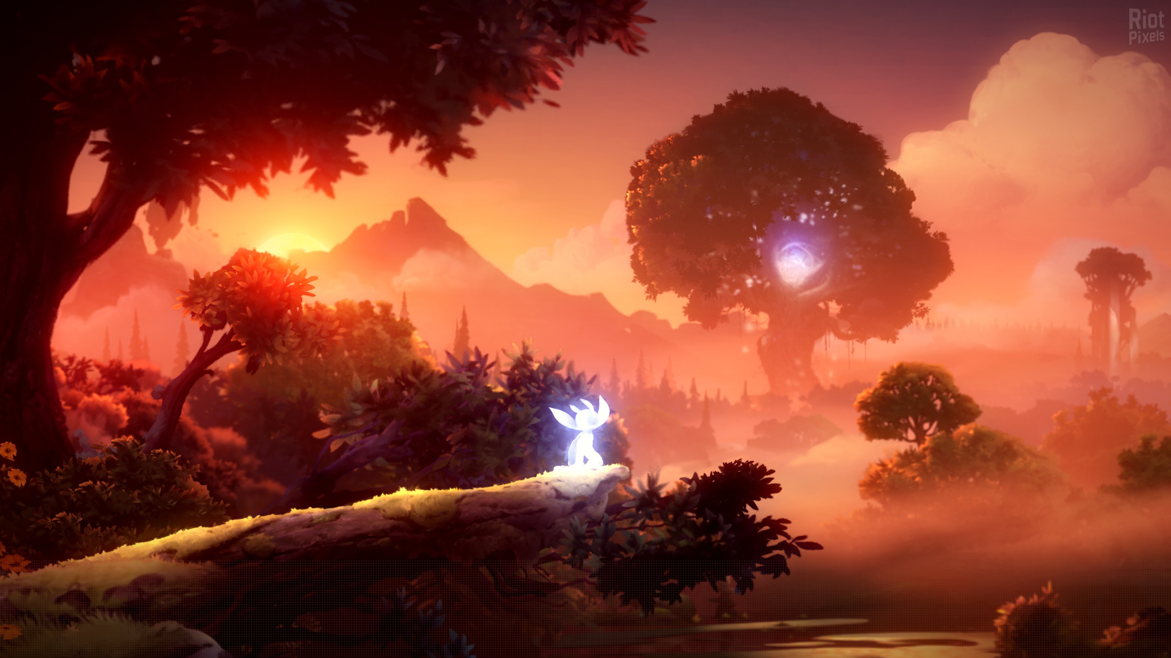 [7]-Ori and the Will of the Wisps Download-HohohoGames