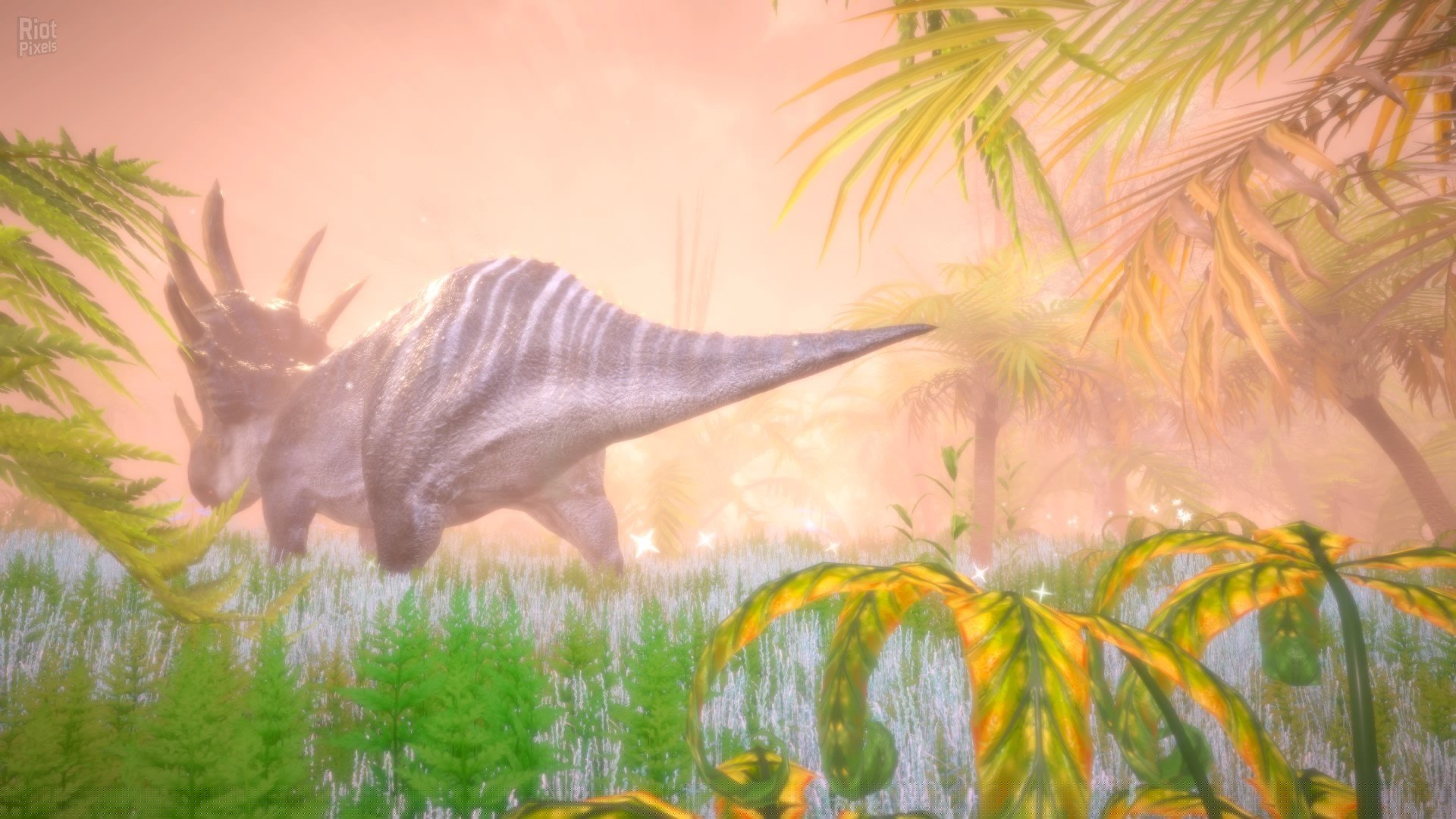 [5]-Hidden Treasures in the Forest of Dreams Download-HohohoGames