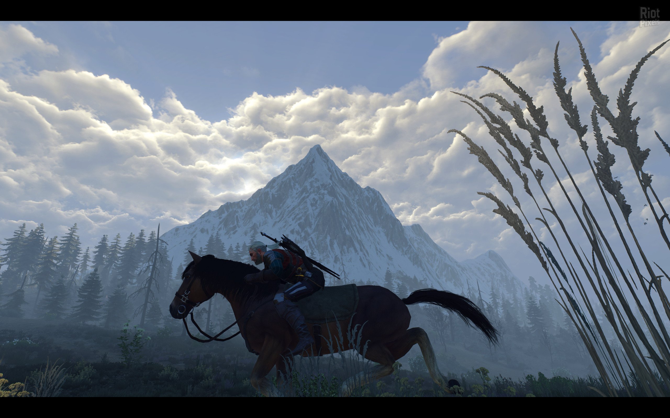 [5]-The Witcher 3: Wild Hunt – Game of the Year Edition v1.31/v1.32 + HD Mod Download-HohohoGames