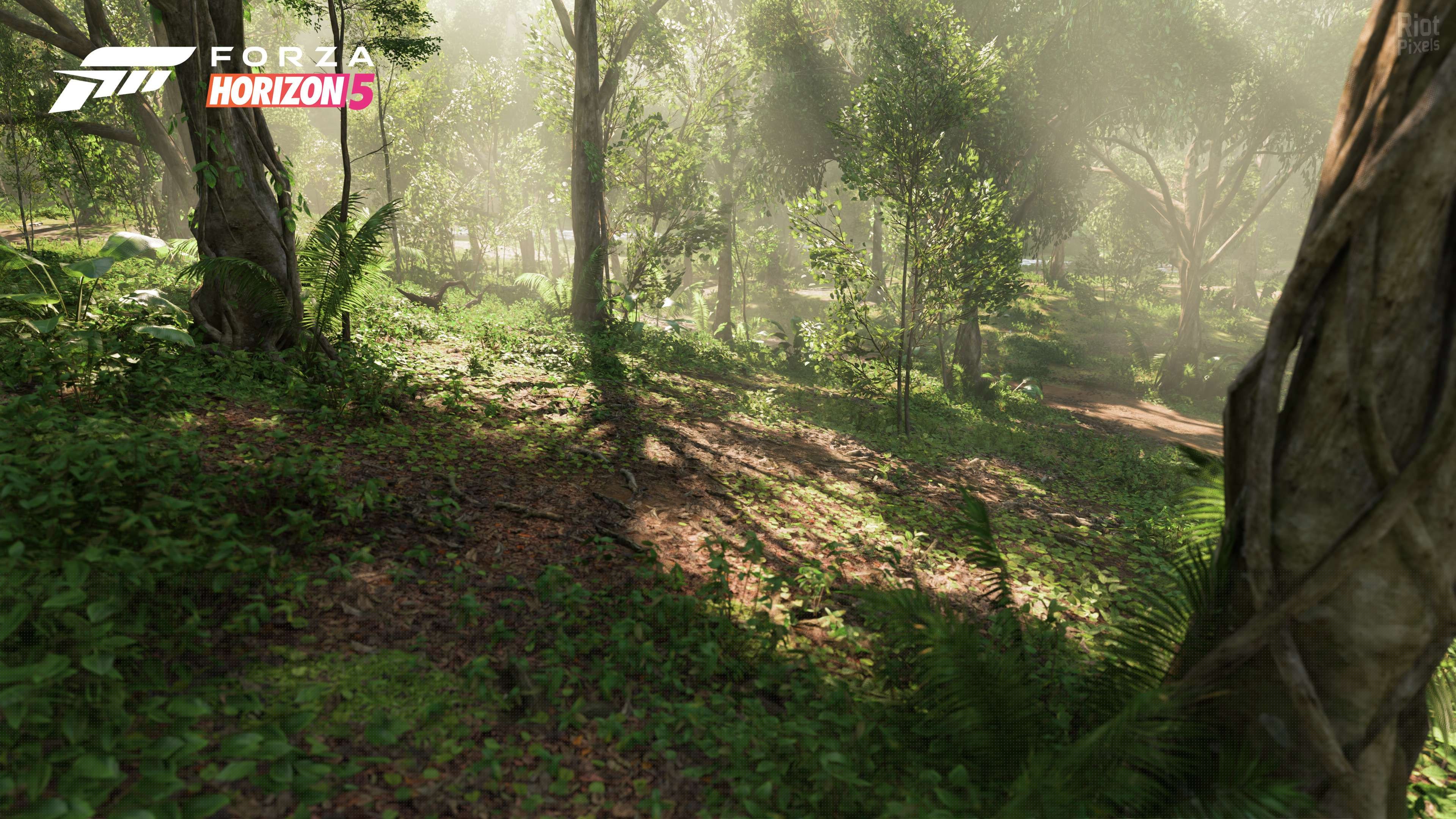[6]-Forza Horizon 5: Premium Edition – v1.656.386.0 + 58 DLCs + 100% Unlock Save + Multiplayer Download-HohohoGames