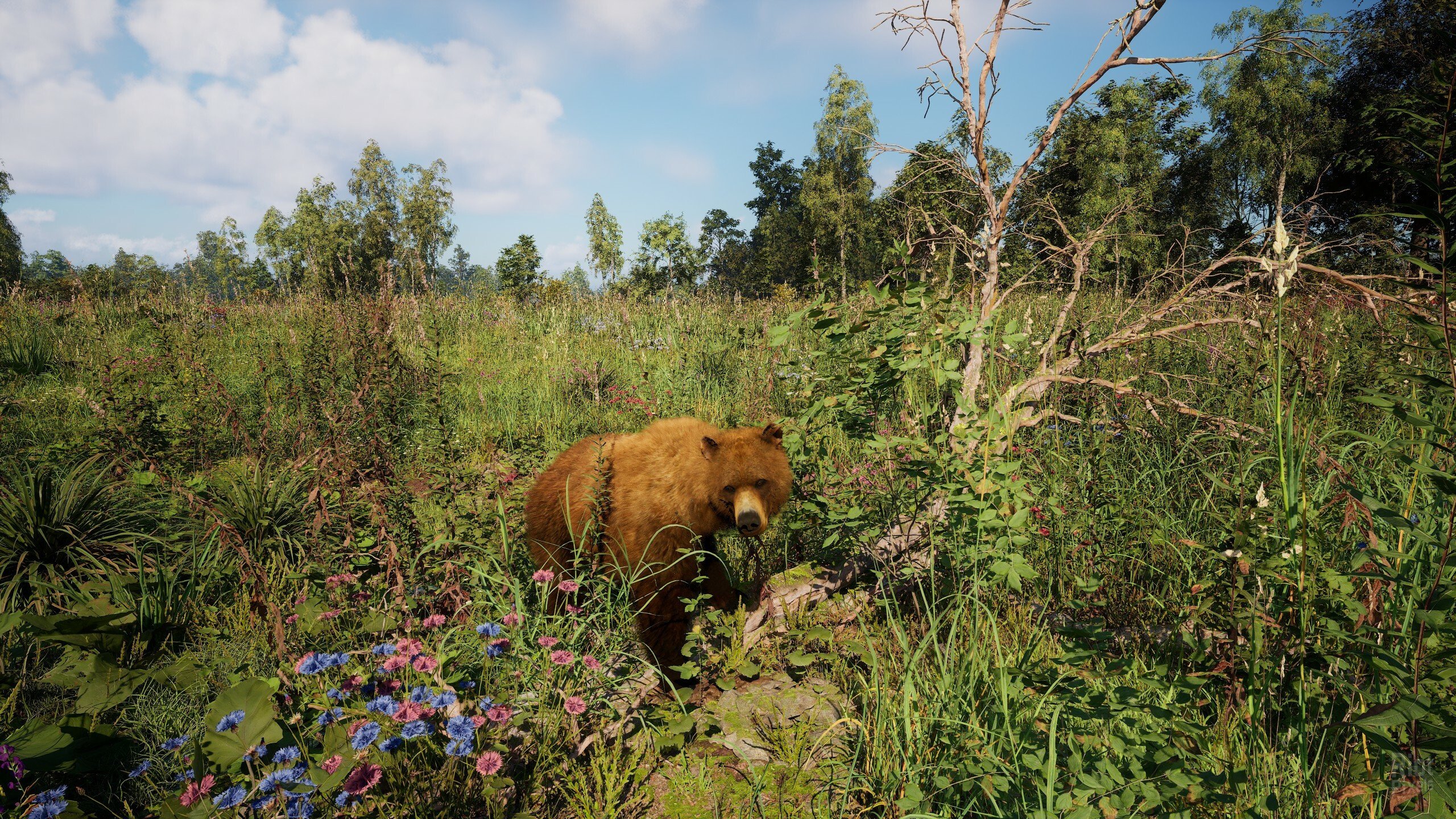 [10]-Russian Soul Simulator Download-HohohoGames
