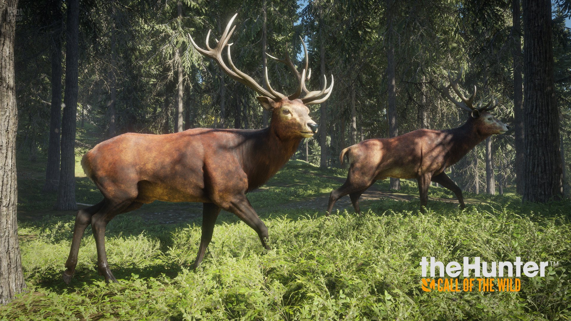 [4]-theHunter: Call of the Wild – Complete Collection – v2891297 + 64 DLCs Download-HohohoGames