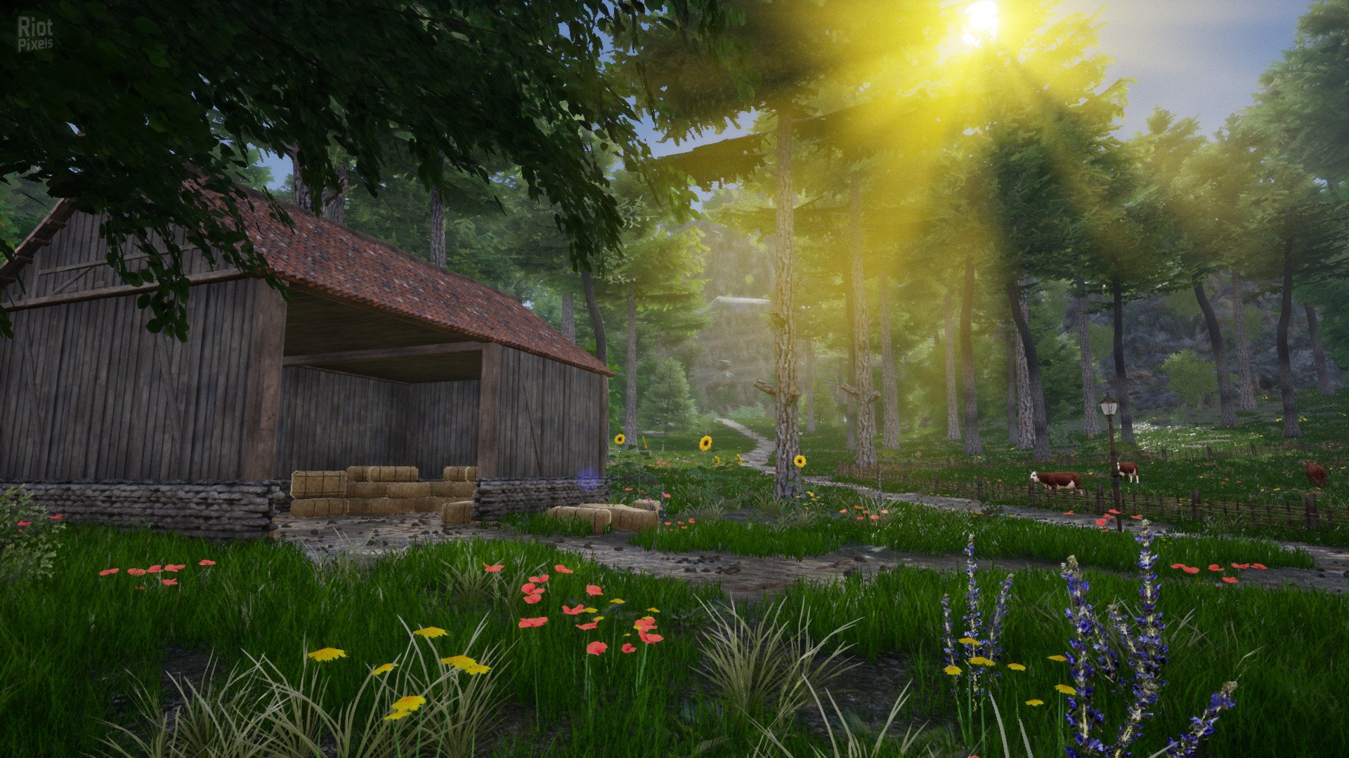 [9]-Horse Riding Deluxe 2 Download-HohohoGames
