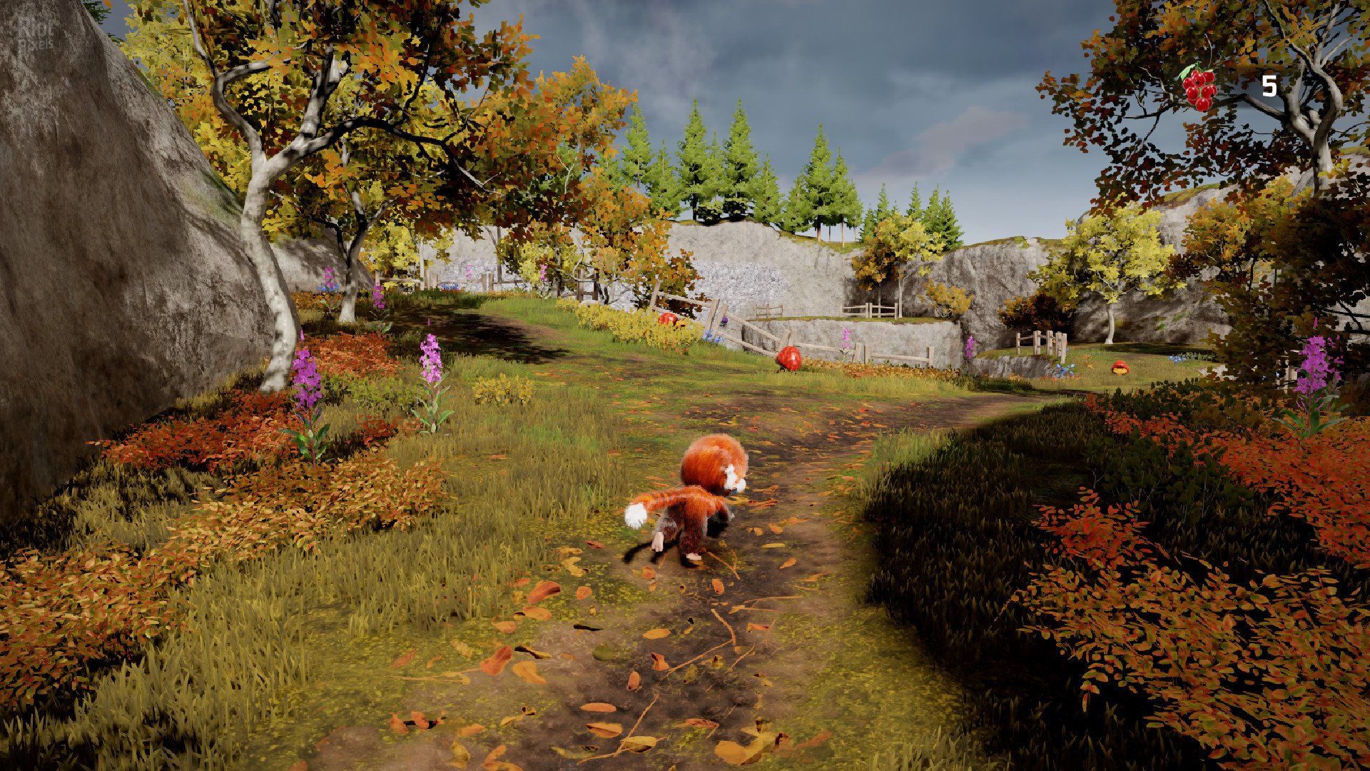 [9]-Tamarin Download-HohohoGames
