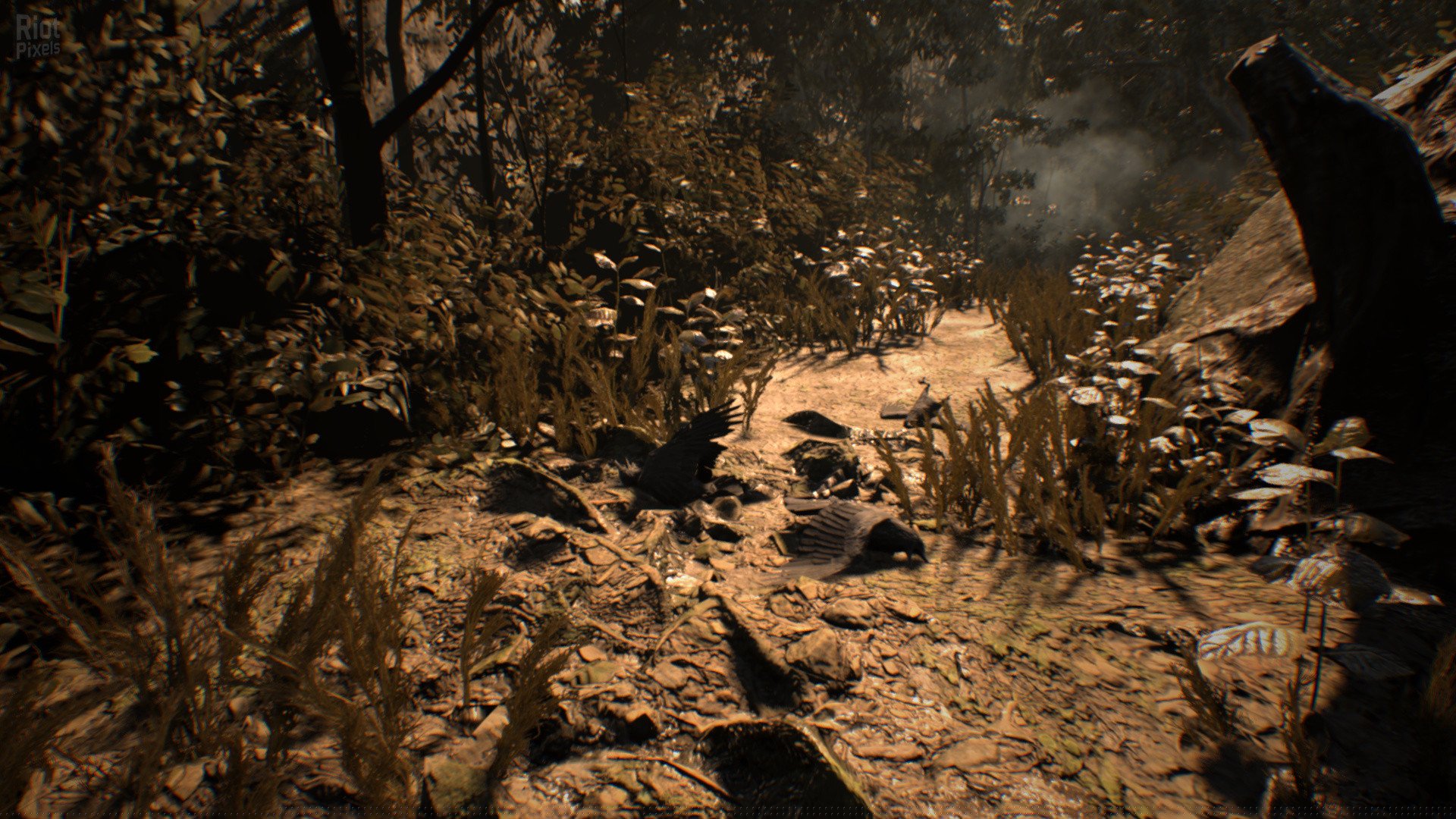 [5]-Resident Evil 7: Biohazard – Gold Edition – v20220613/Build 8796429 + 15 DLCs + Bonus OST + Windows 7 Fix Download-HohohoGames