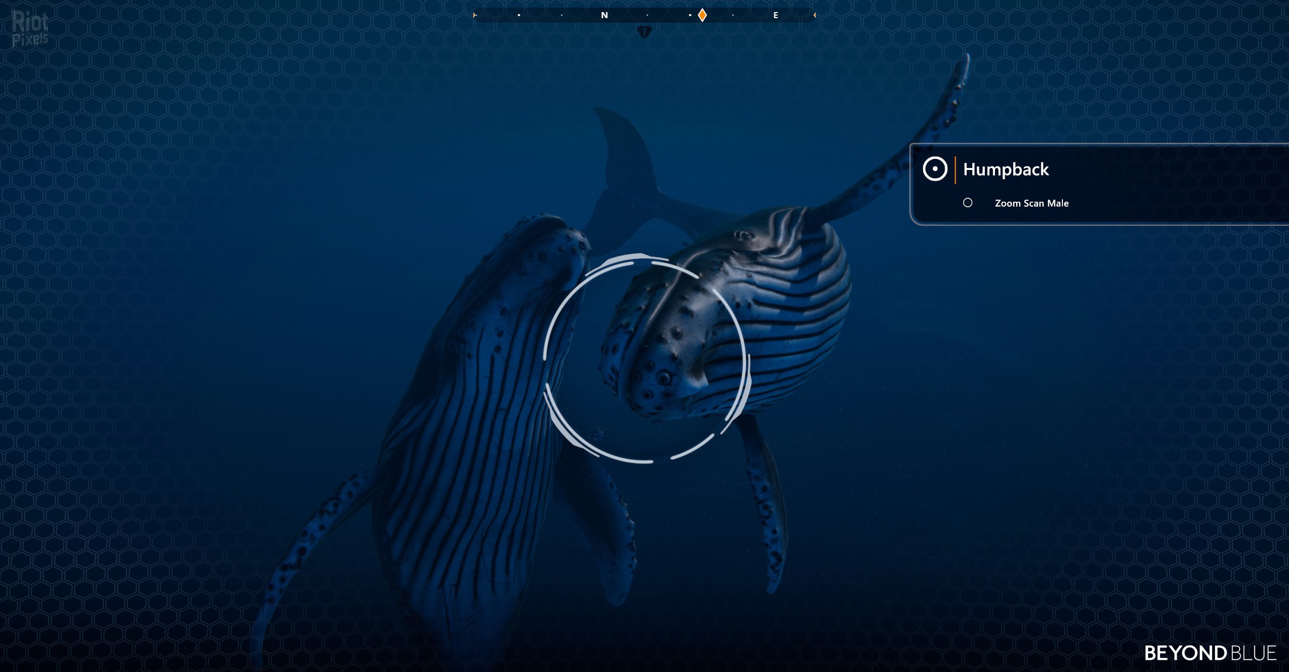 [10]-Beyond Blue – v1.7.17798 Download-HohohoGames