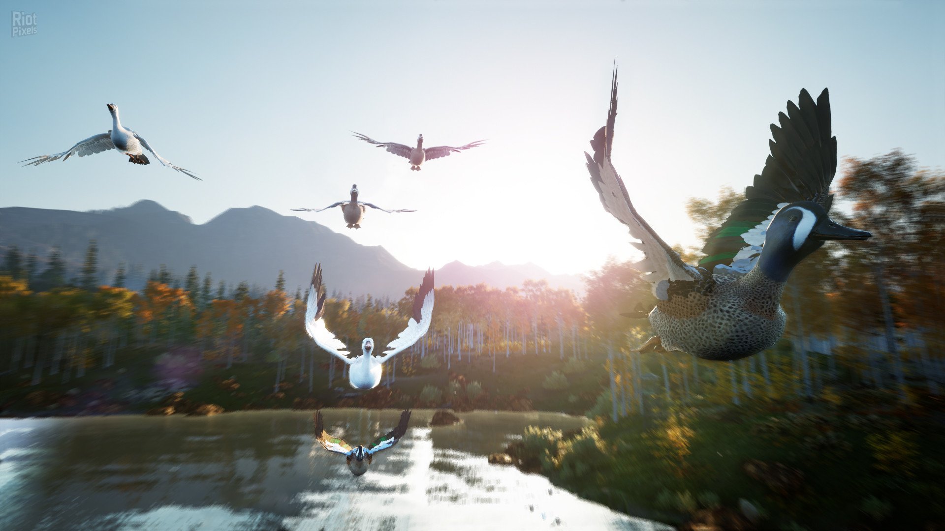 [12]-Hunting Simulator 2: Elite Edition – v1.0.0.311.66949 + 4 DLCs Download-HohohoGames