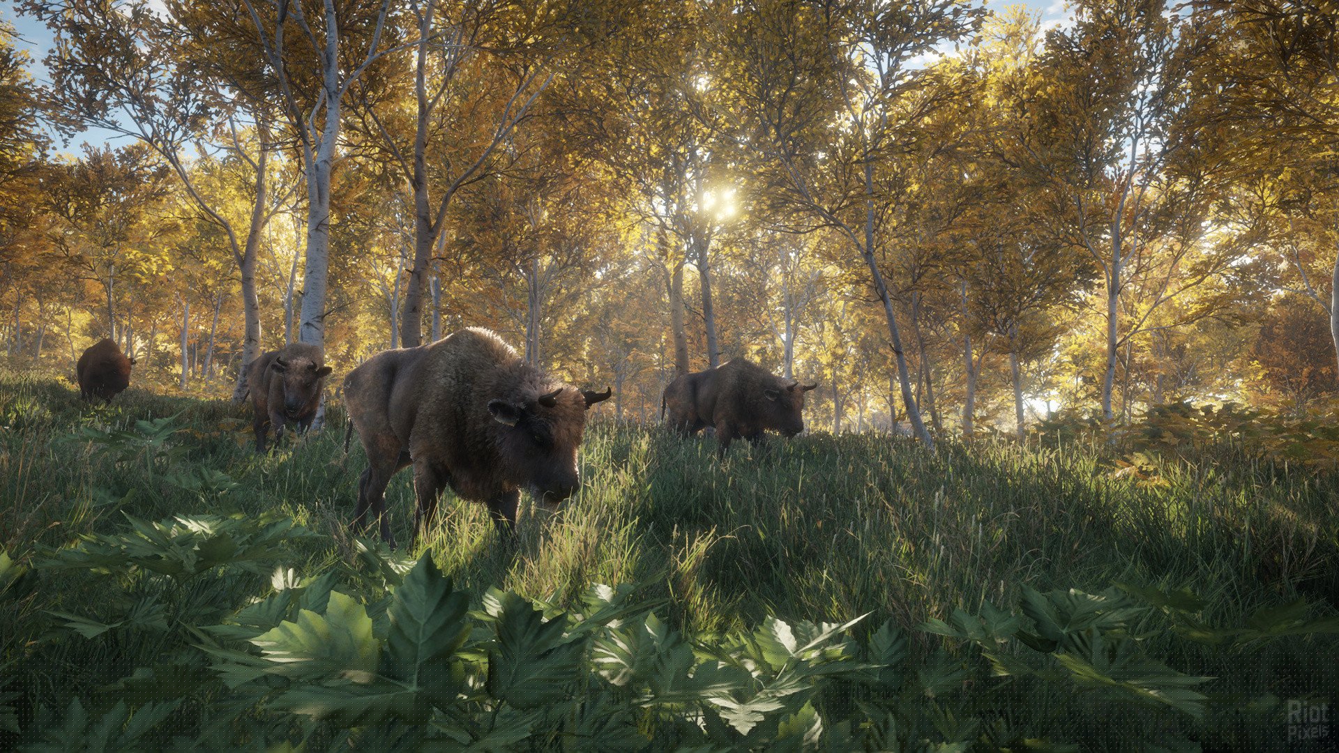 [11]-theHunter: Call of the Wild – Complete Collection – v2891297 + 64 DLCs Download-HohohoGames