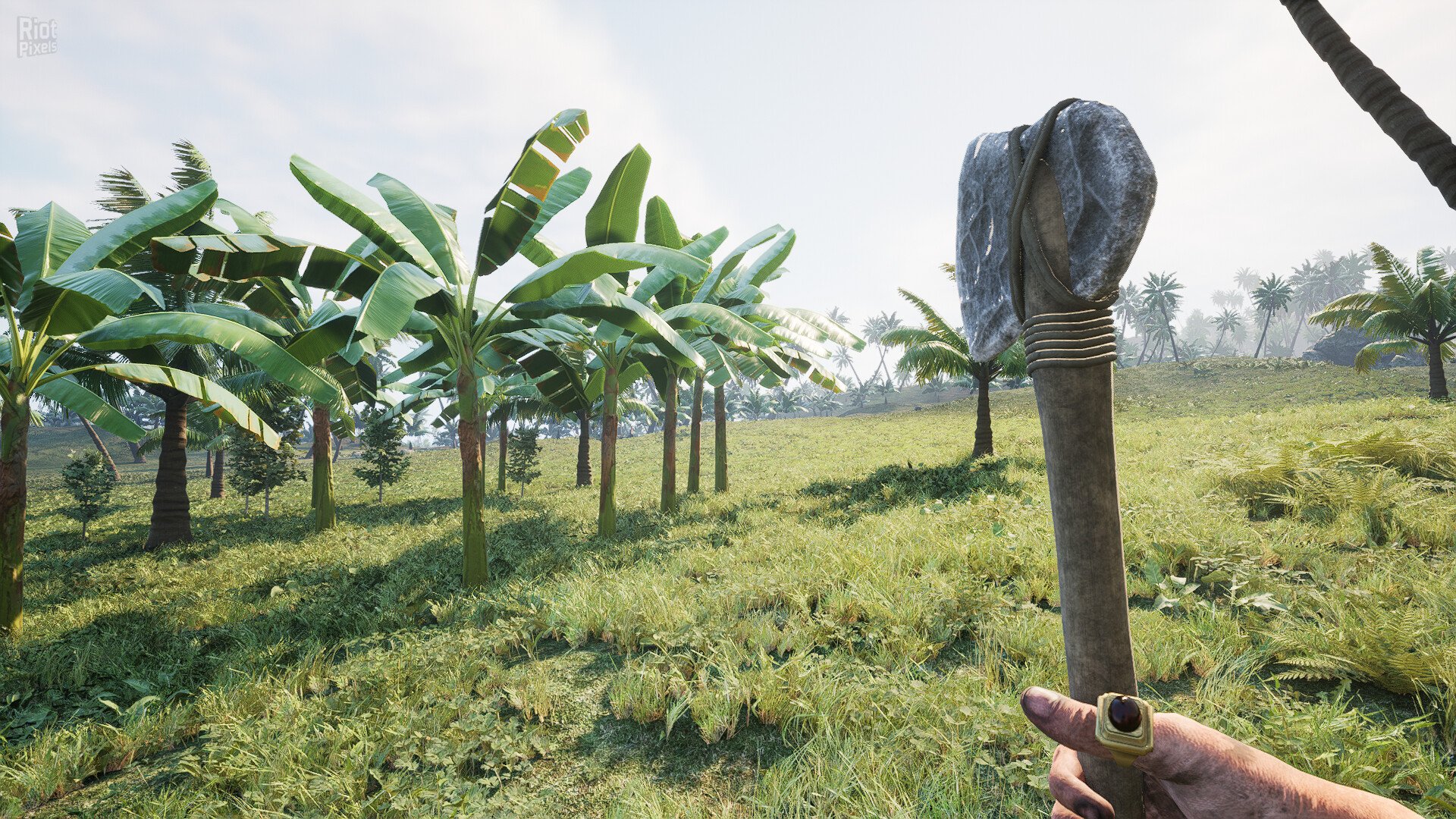 [14]-Pirates Journey – v0.1.06 Download-HohohoGames