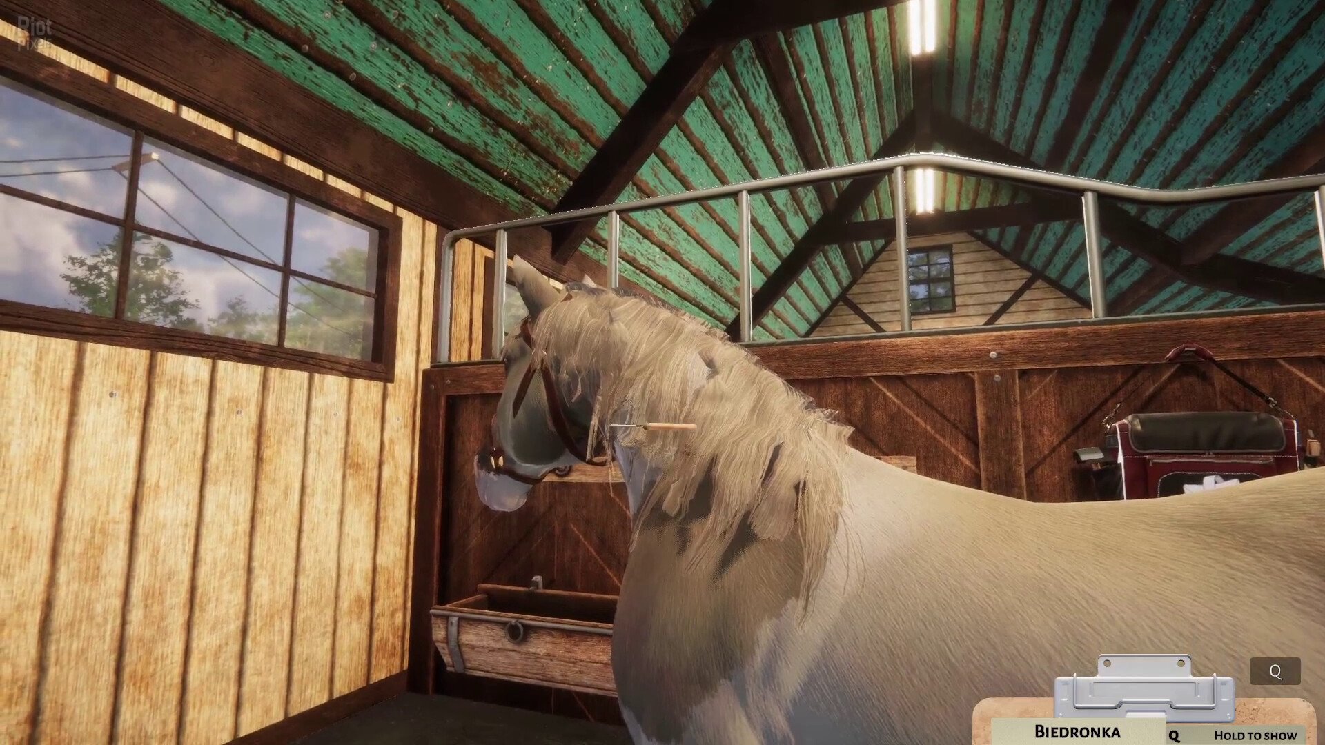 [9]-Animal Shelter: Family Bundle – v1.3.3-38.224 + 3 DLCs + Bonus OST Download-HohohoGames