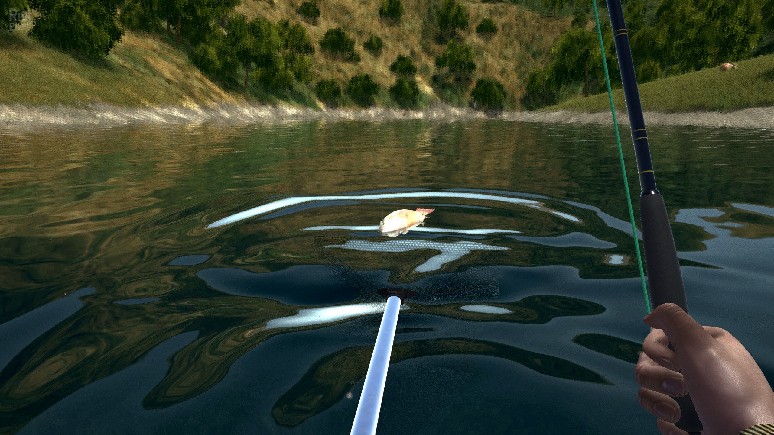 [7]-Ultimate Fishing Simulator: Gold Edition – v2.3.23.12:212 + 12 DLCs Download-HohohoGames