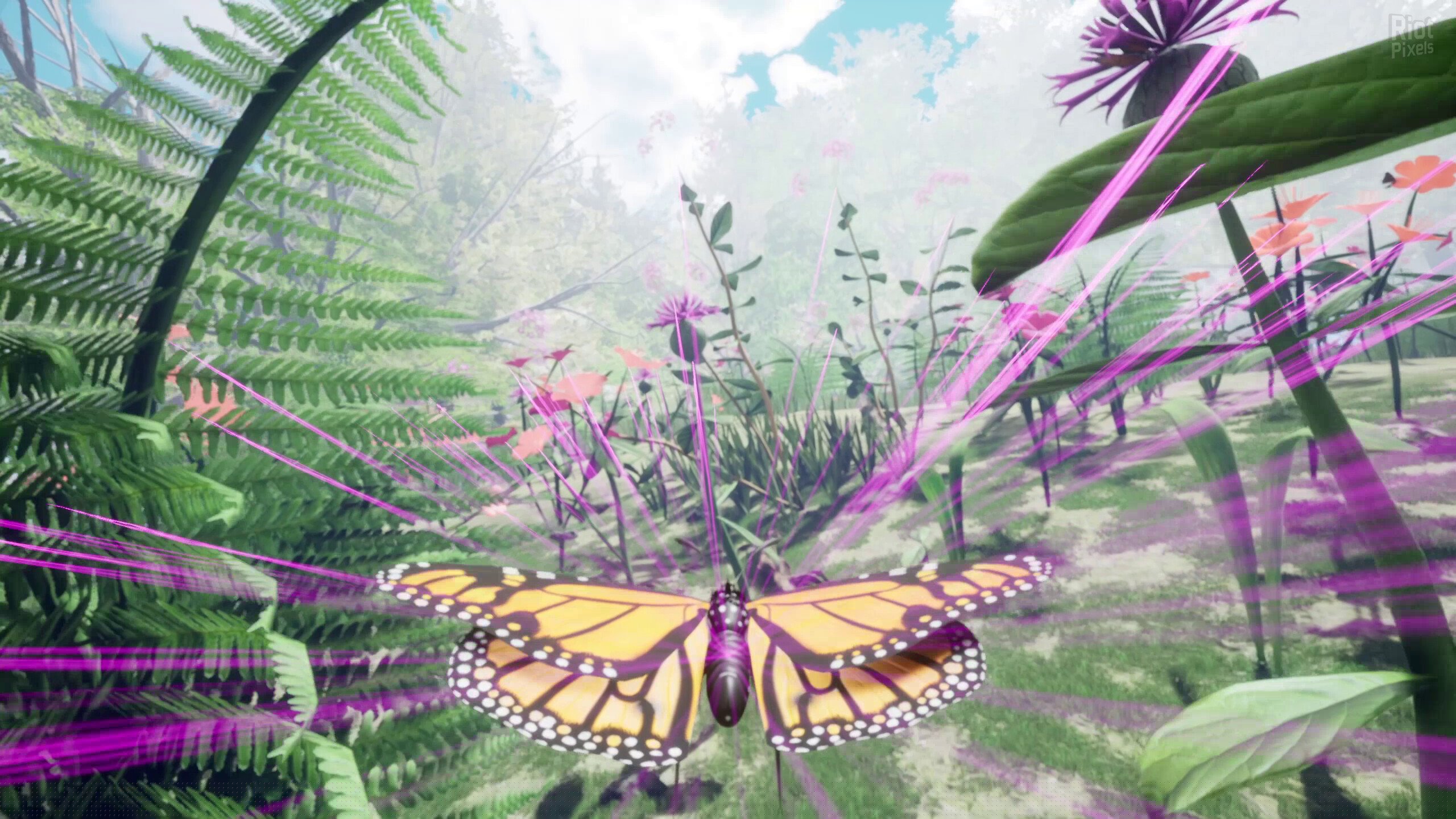 [3]-Nature & Life: Drunk On Nectar + Bonus Soundtrack Download-HohohoGames