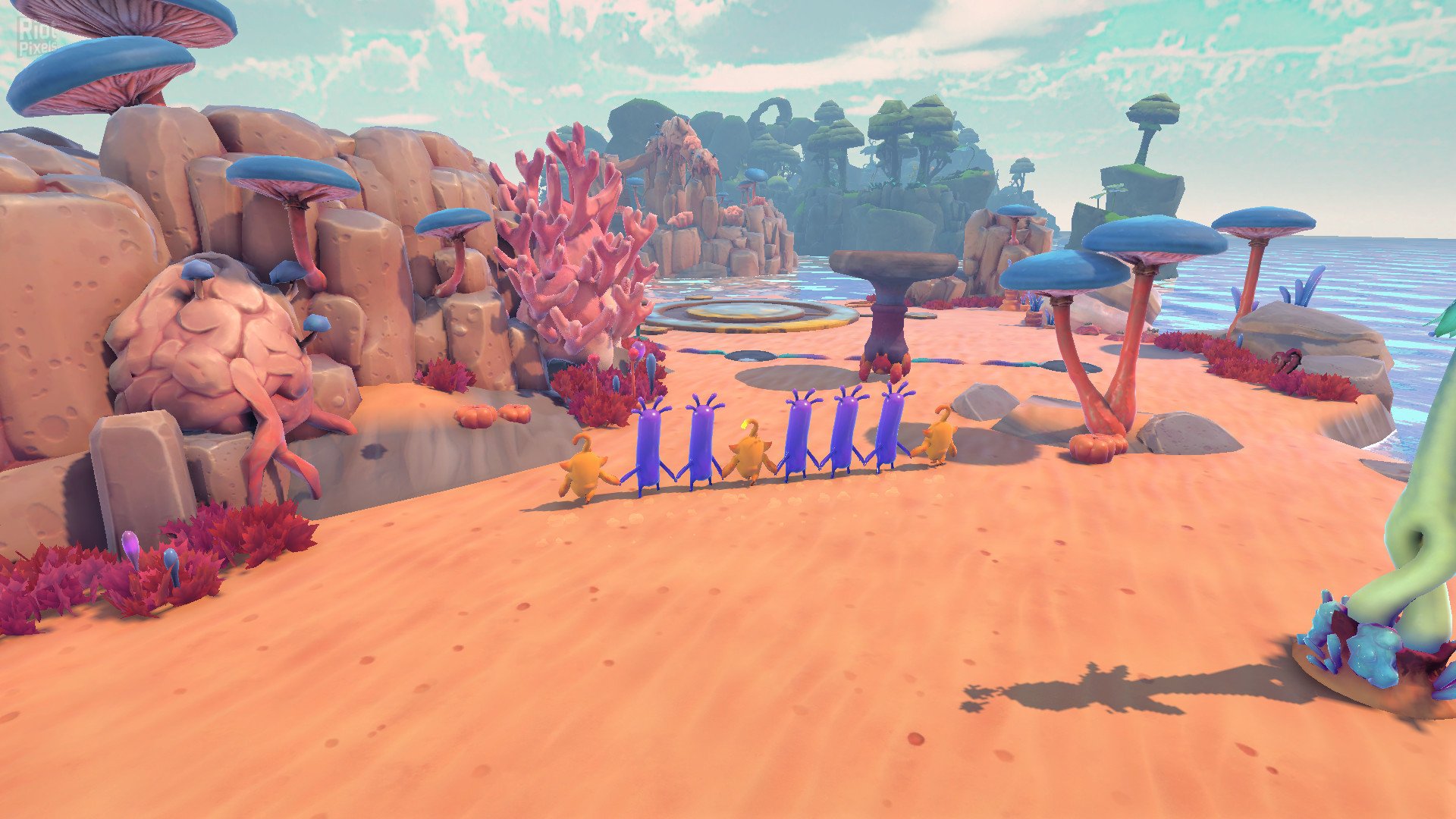 [6]-Derpy Conga – Build 8164768 Download-HohohoGames