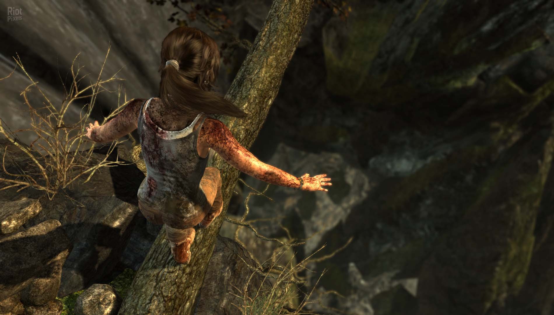 [11]-Tomb Raider: Definitive Edition – v1.01.0.0 + All DLCs Download-HohohoGames